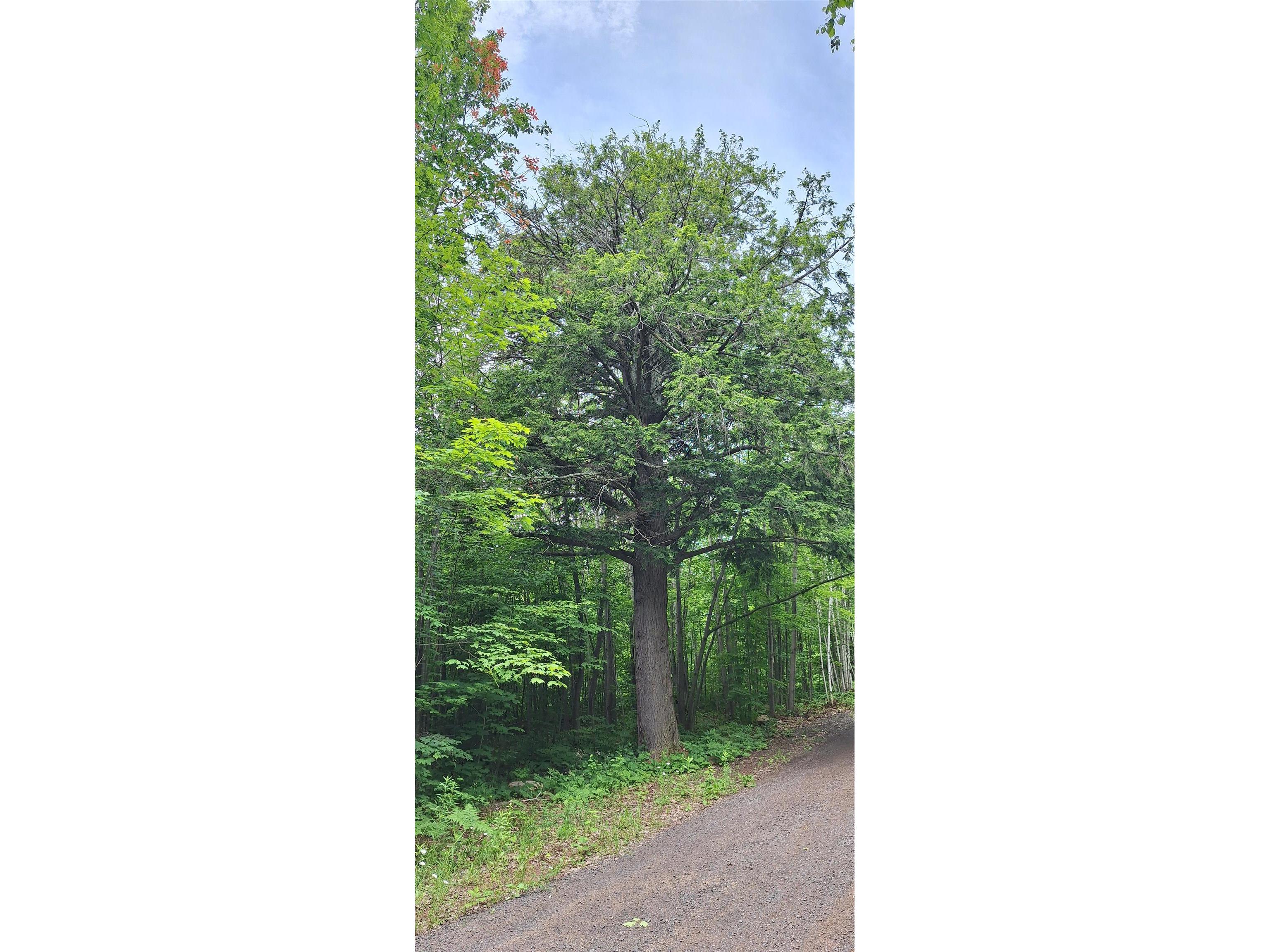 Lot Z Apple Hill Rd Bayfield WI 54814 6120407 image17