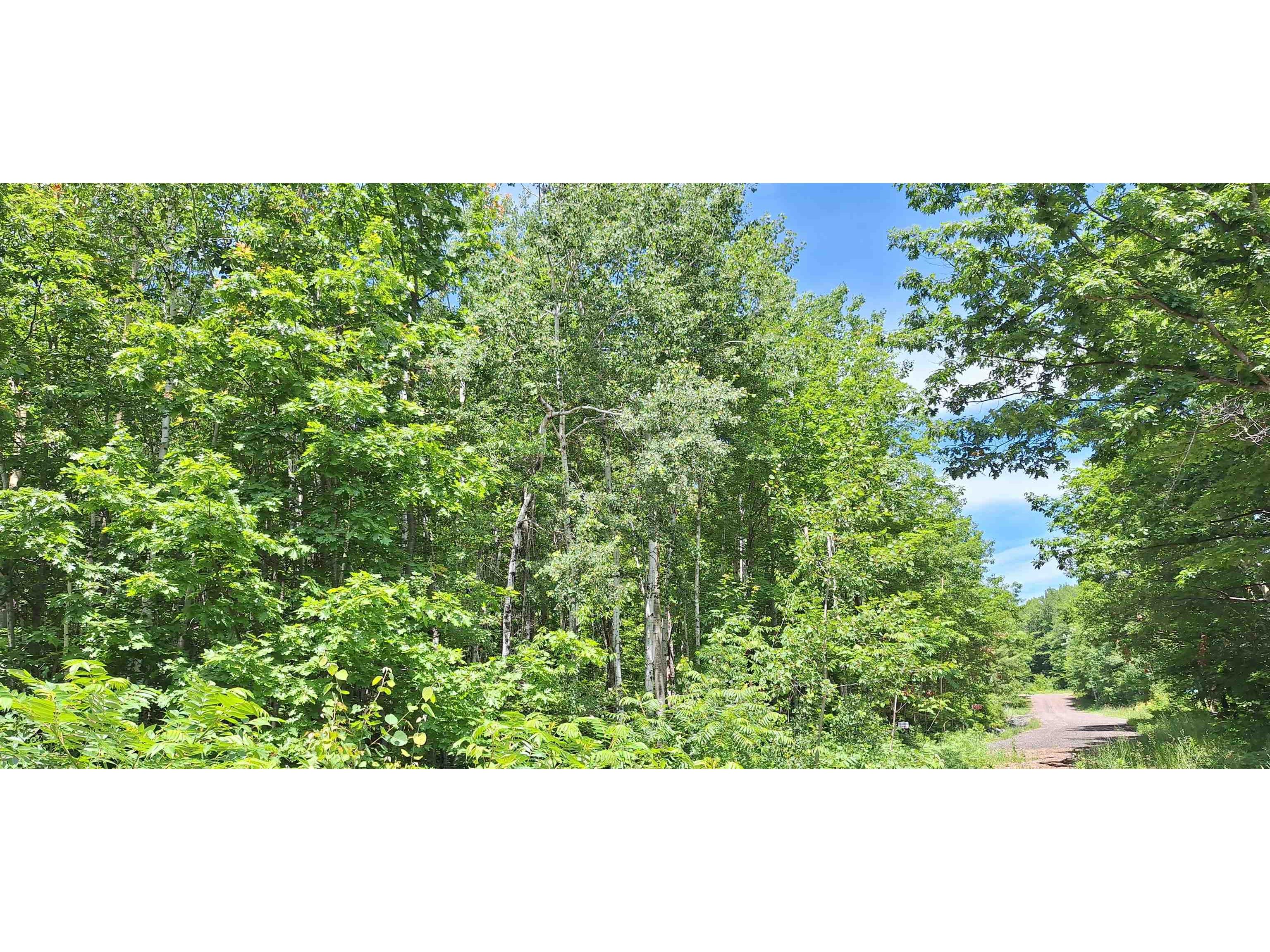 Lot Z Apple Hill Rd Bayfield WI 54814 6120407 image18