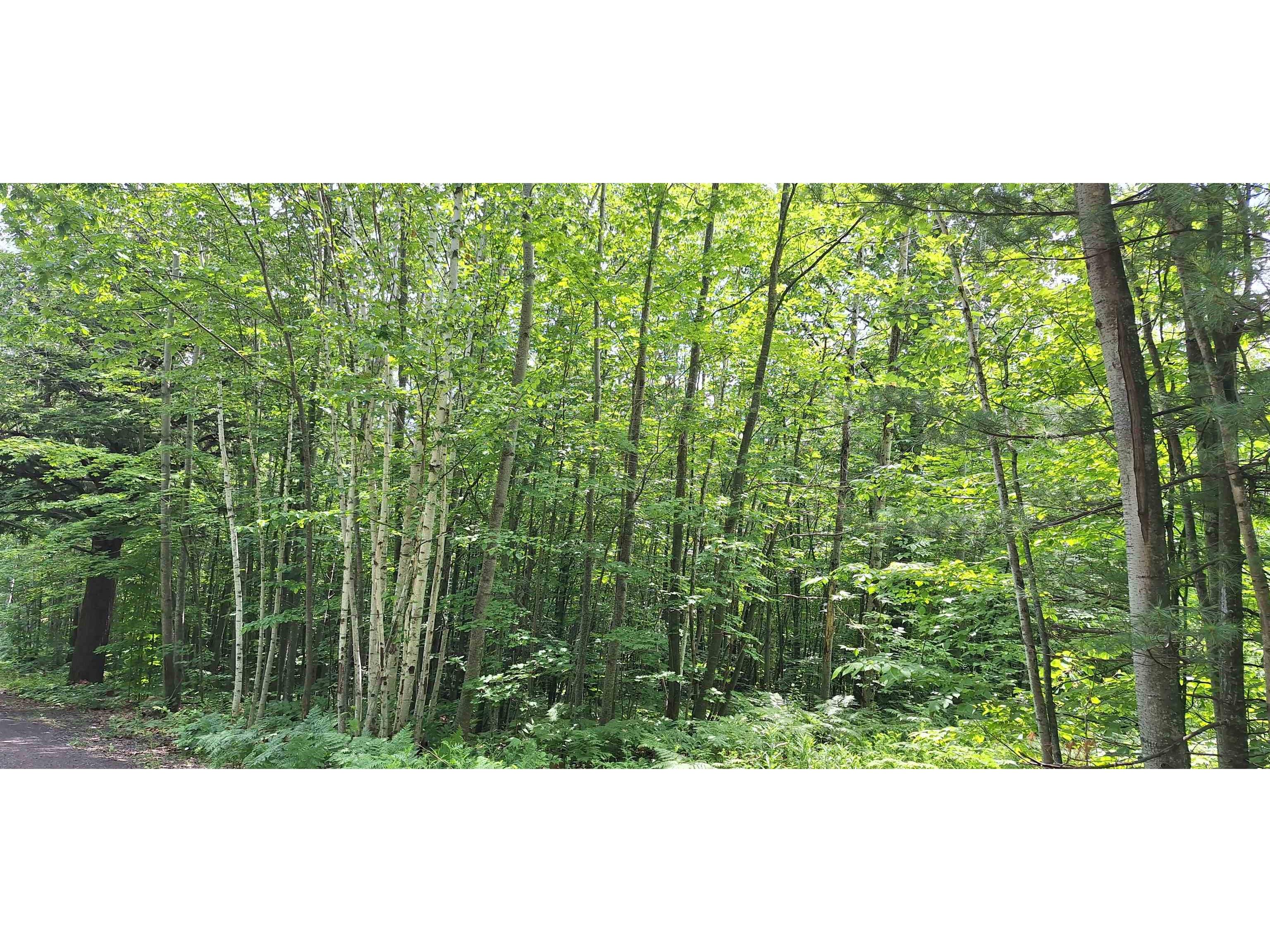 Lot Z Apple Hill Rd Bayfield WI 54814 6120407 image19