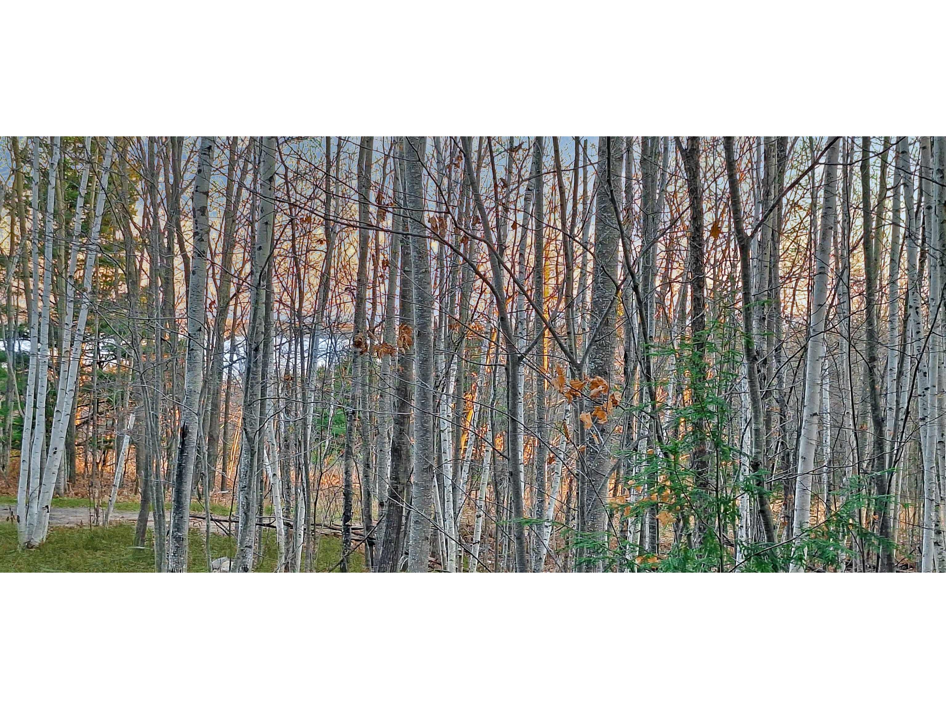 Lot Z Apple Hill Rd Bayfield WI 54814 6120407 image2