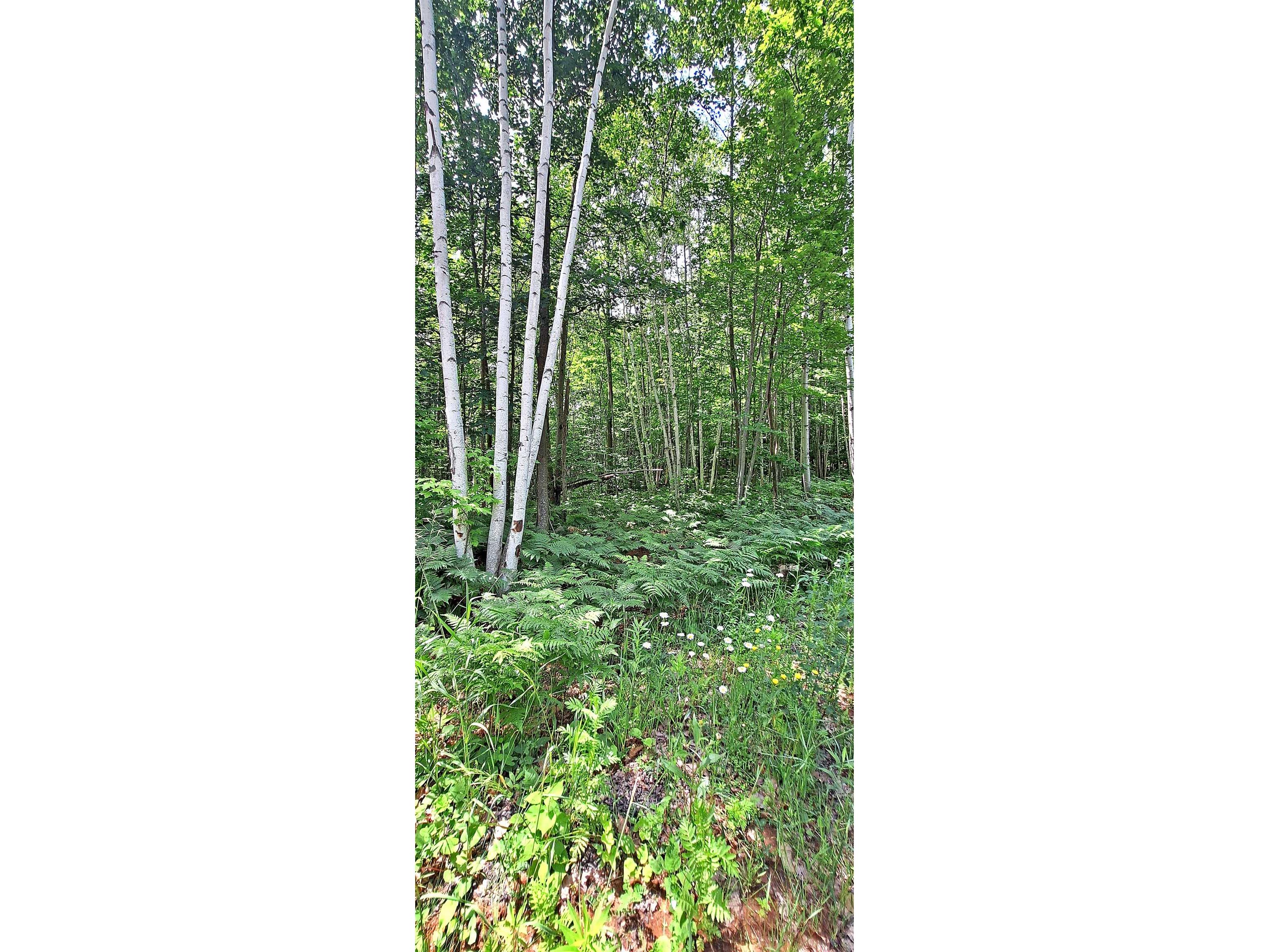 Lot Z Apple Hill Rd Bayfield WI 54814 6120407 image20
