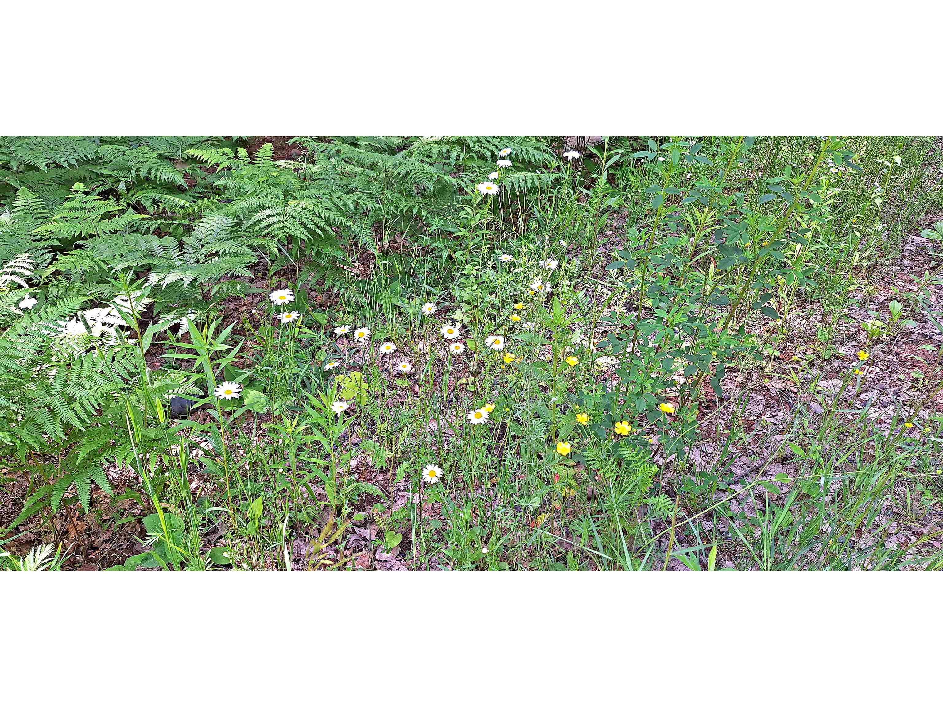 Lot Z Apple Hill Rd Bayfield WI 54814 6120407 image21