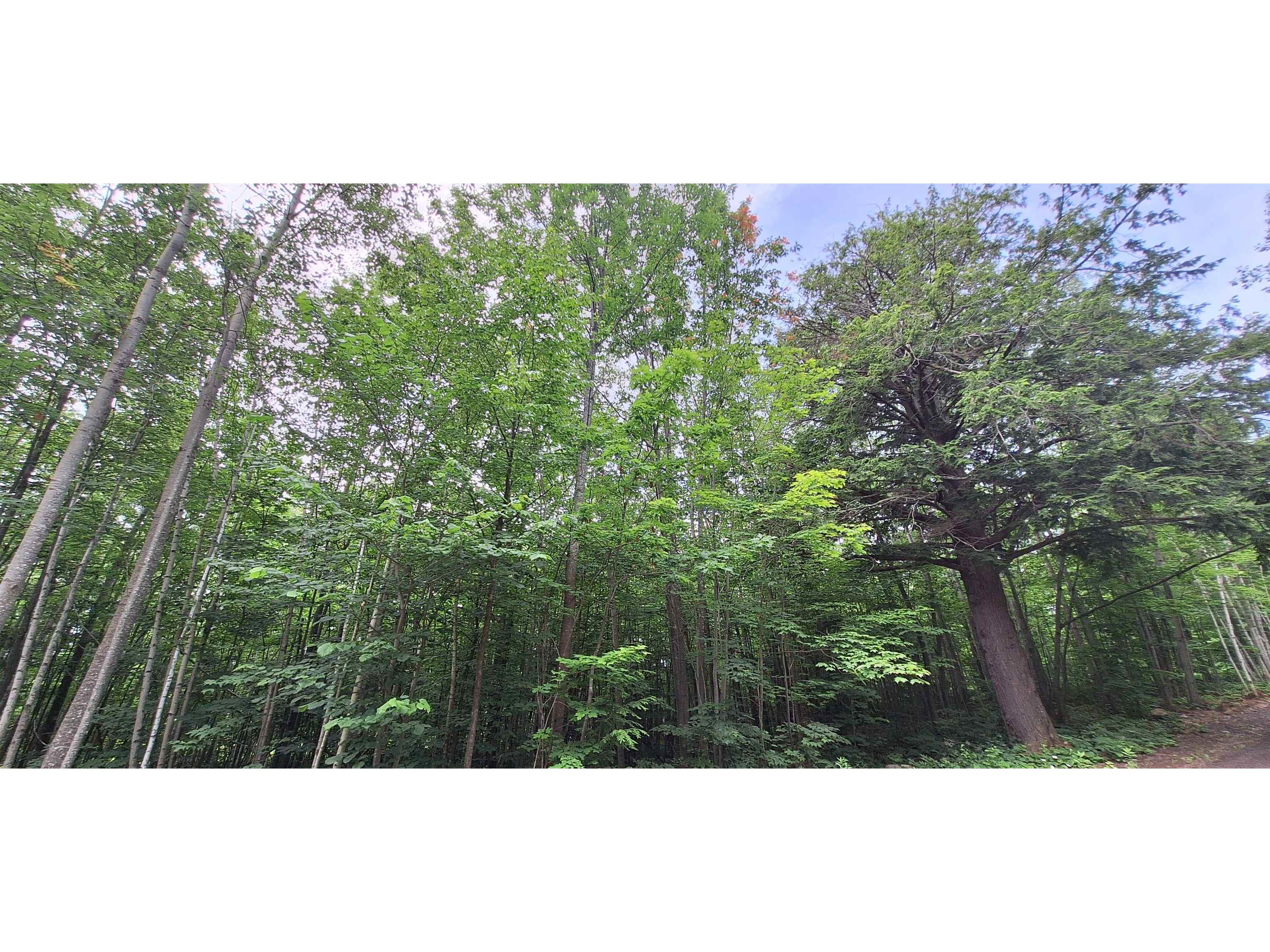 Lot Z Apple Hill Rd Bayfield WI 54814 6120407 image22