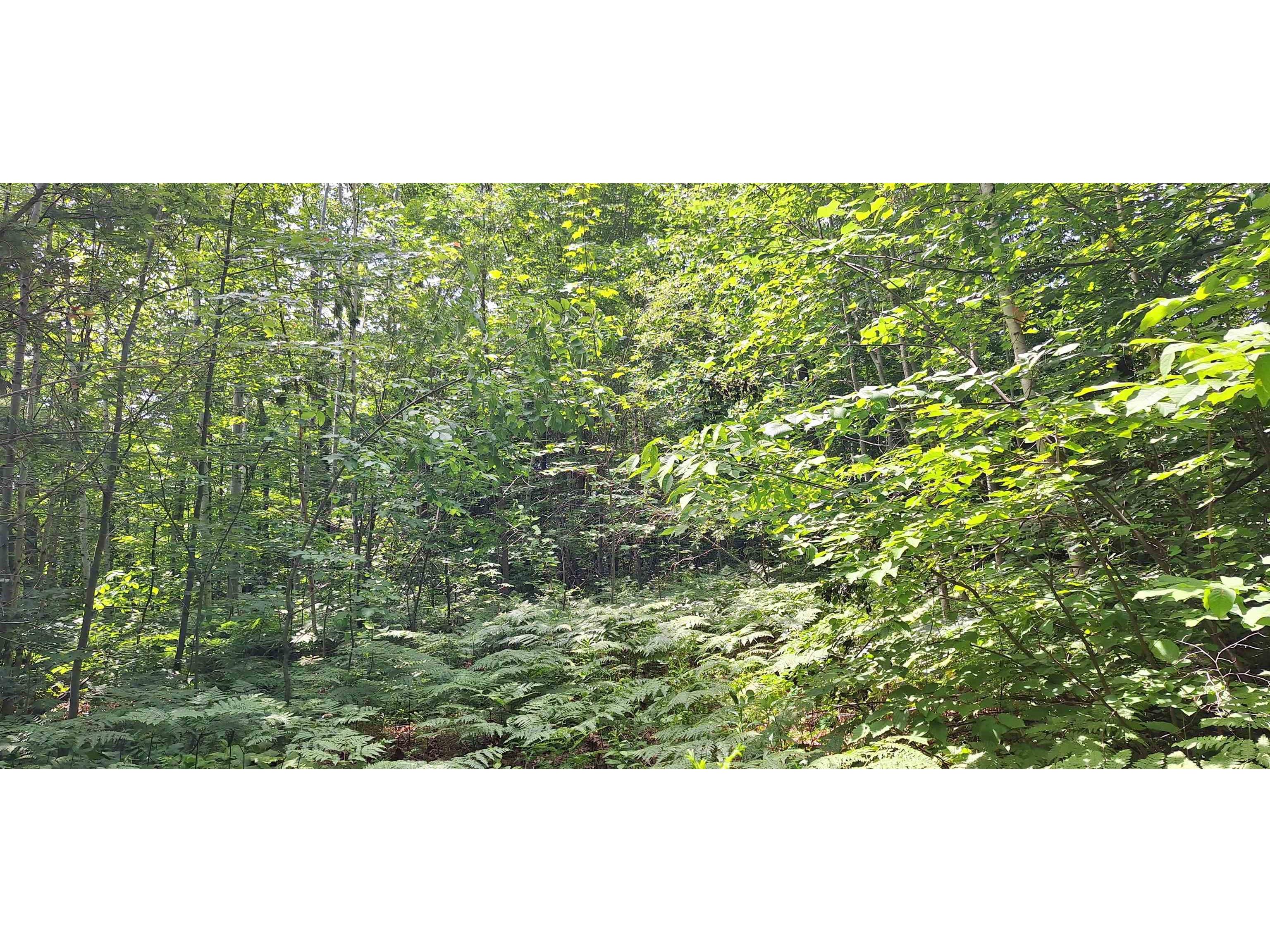 Lot Z Apple Hill Rd Bayfield WI 54814 6120407 image23