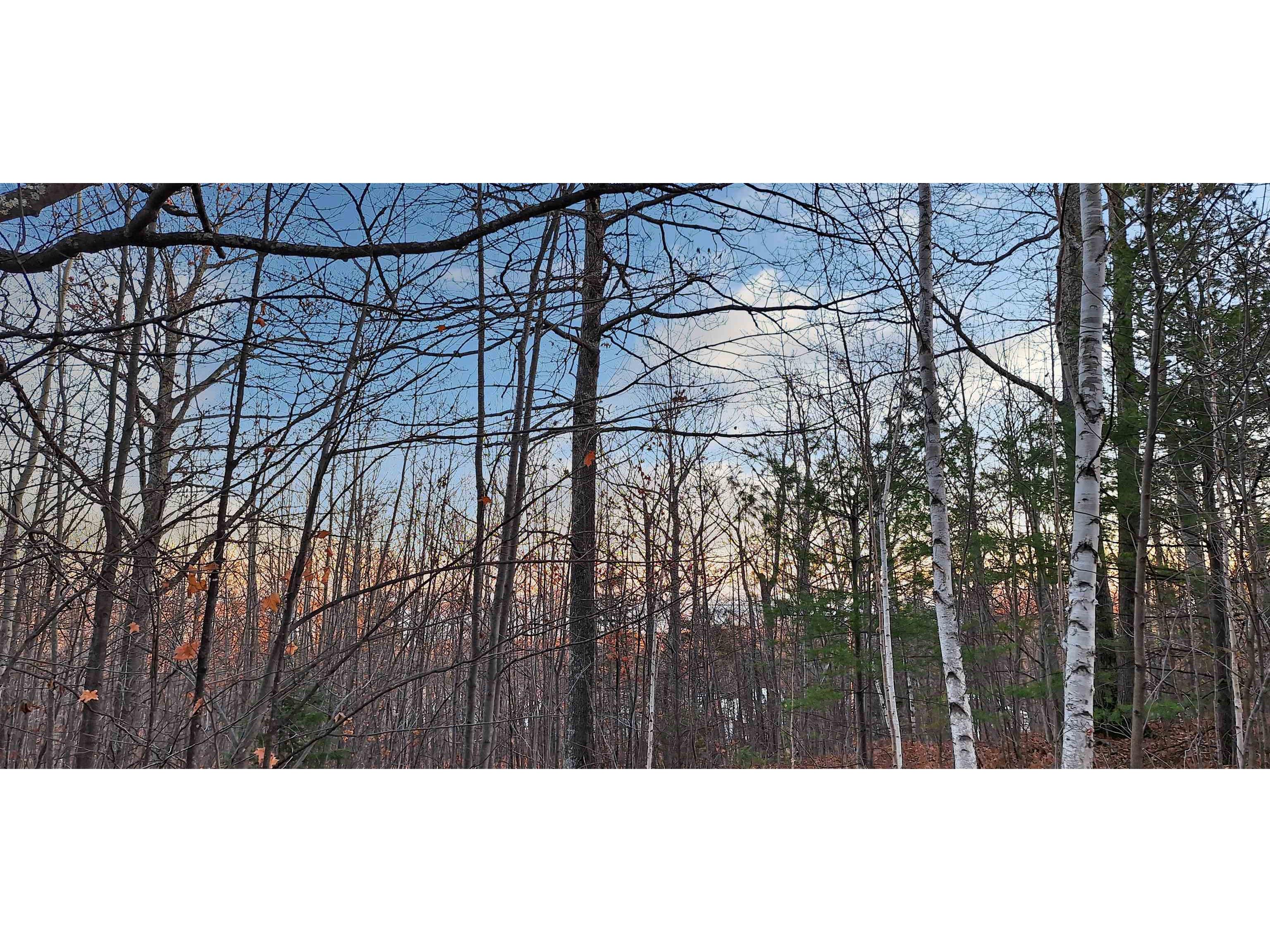 Lot Z Apple Hill Rd Bayfield WI 54814 6120407 image25