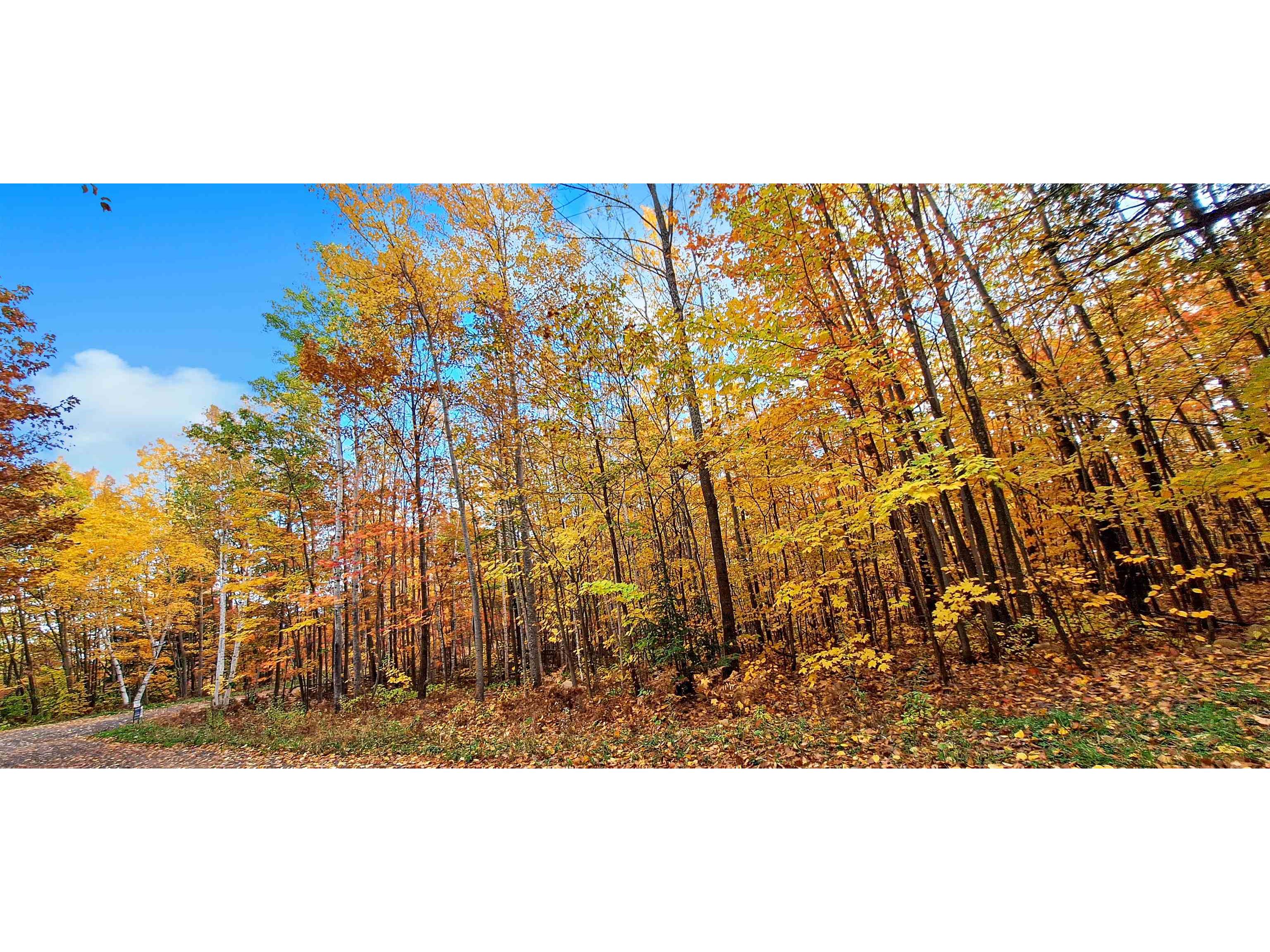 Lot Z Apple Hill Rd Bayfield WI 54814 6120407 image4