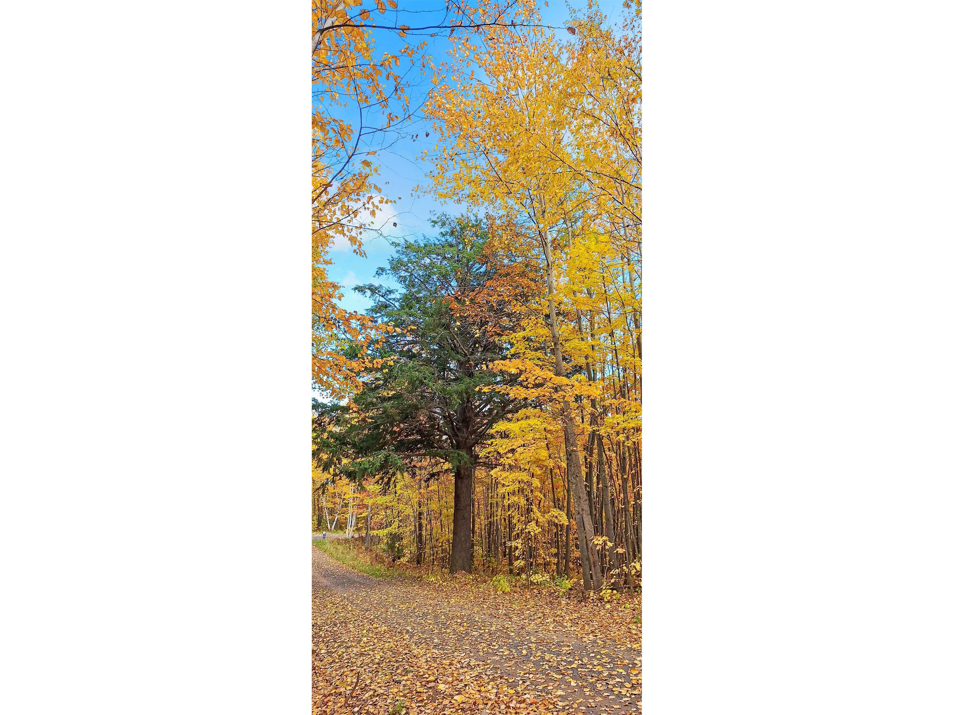 Lot Z Apple Hill Rd Bayfield WI 54814 6120407 image5