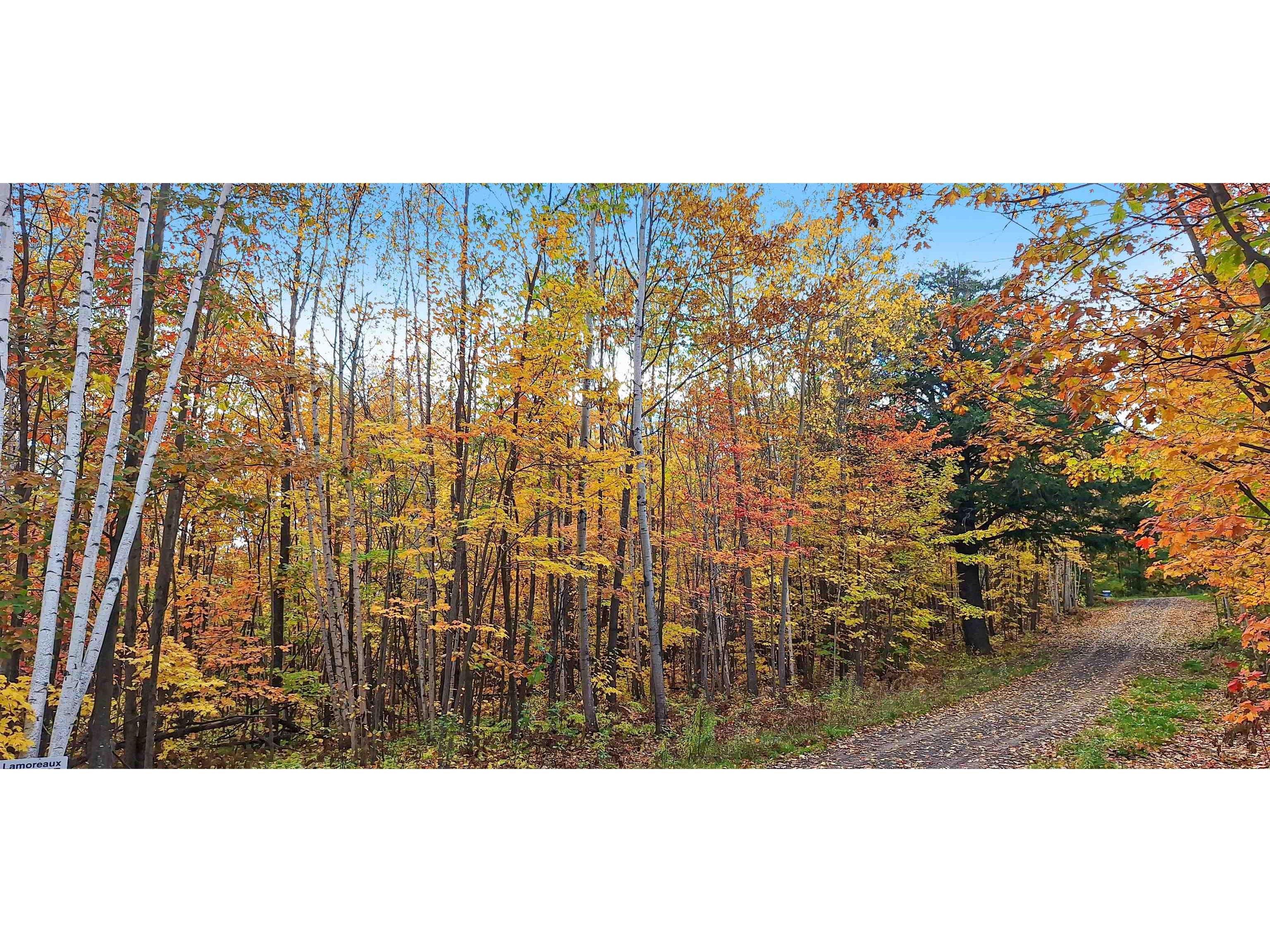 Lot Z Apple Hill Rd Bayfield WI 54814 6120407 image6