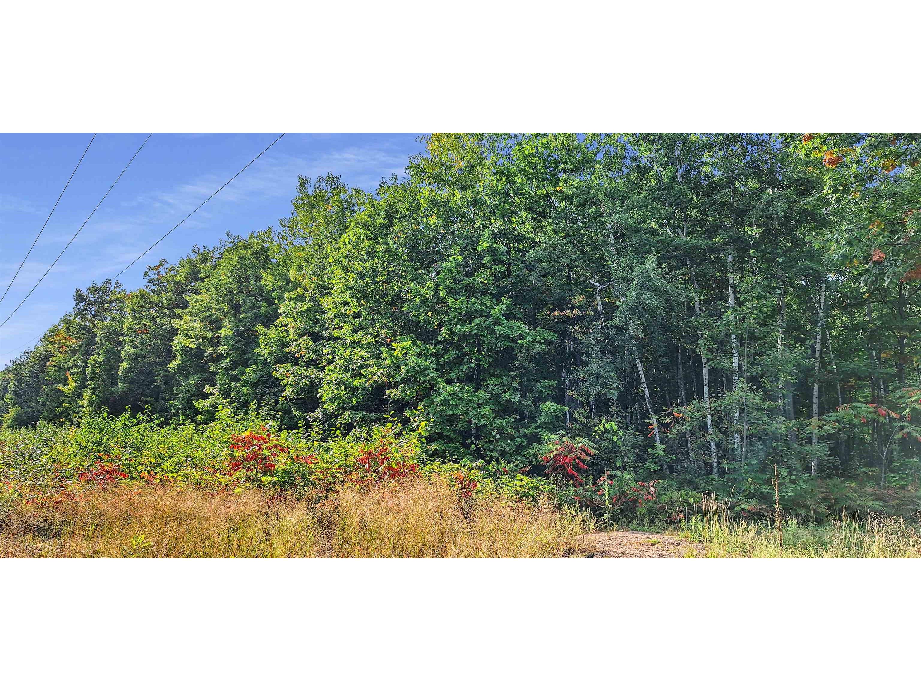 Lot Z Apple Hill Rd Bayfield WI 54814 6120407 image8