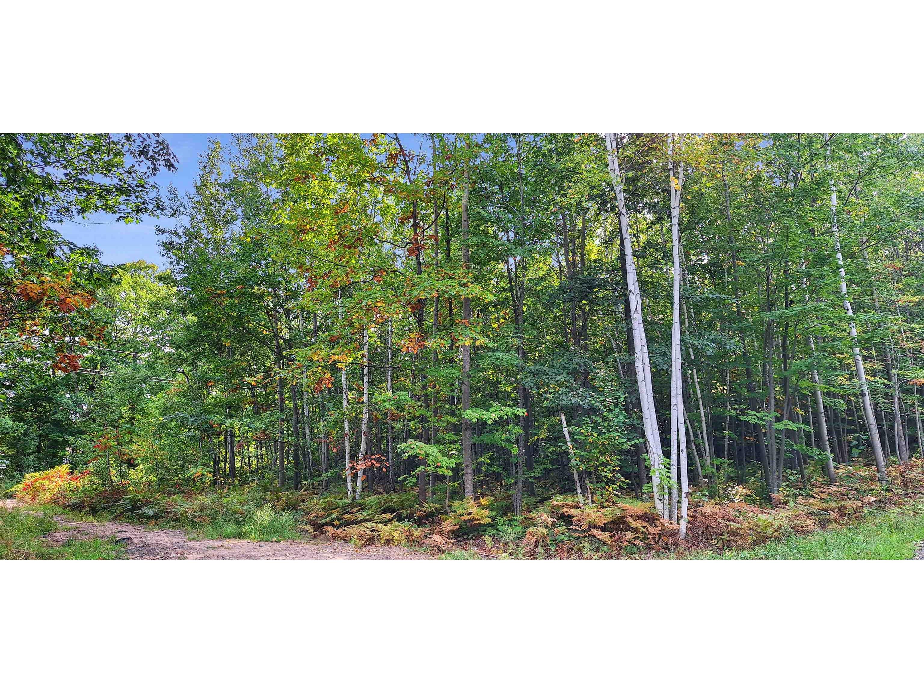 Lot Z Apple Hill Rd Bayfield WI 54814 6120407 image9