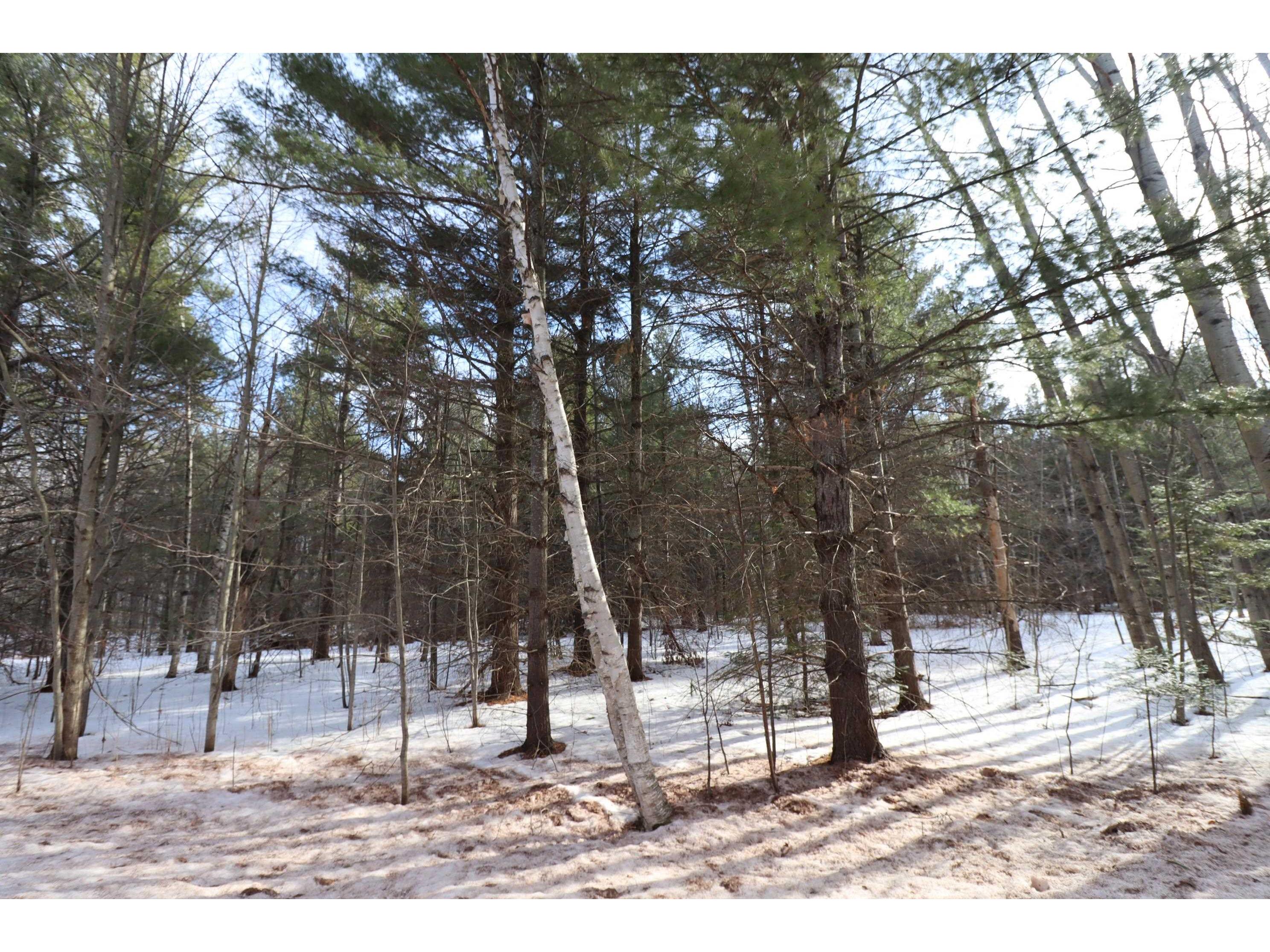 Lots 1-5 Wilson Ave Bayfield WI 54814 6118005 image7