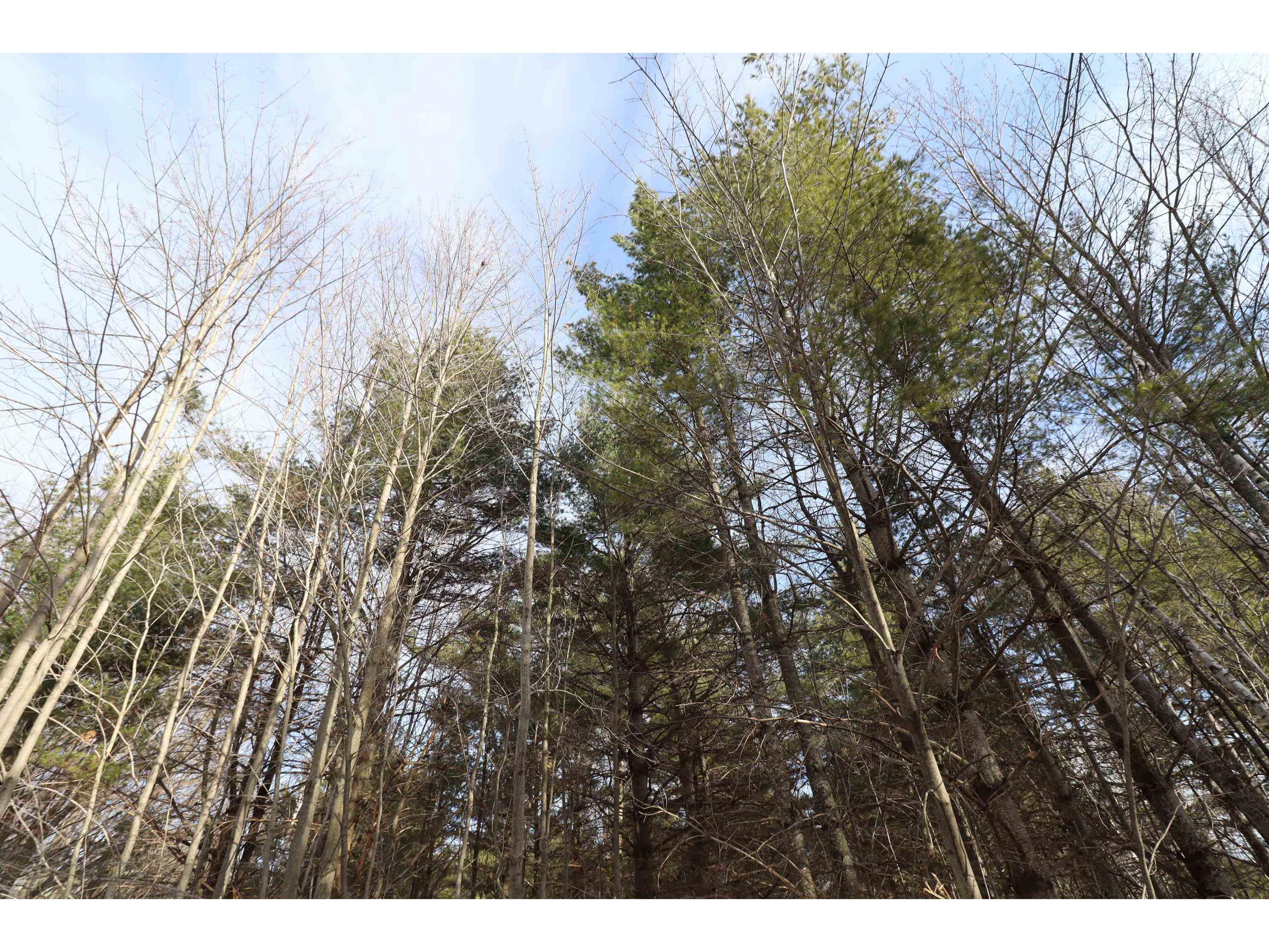 Lots 1-5 Wilson Ave Bayfield WI 54814 6118005 image9