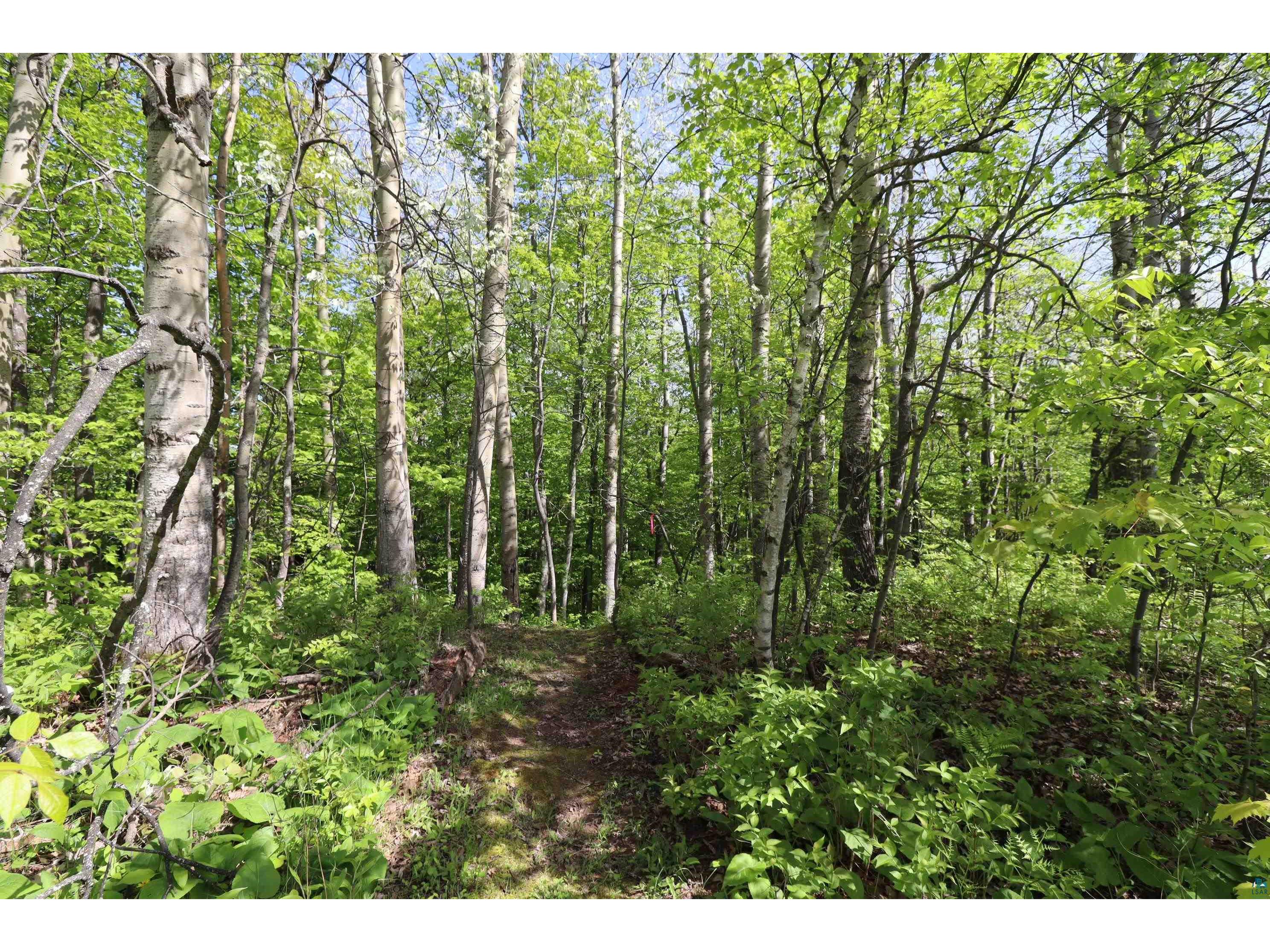 Lots 19 & 38 Eagle Run Bayfield WI 54814 6123697 image24