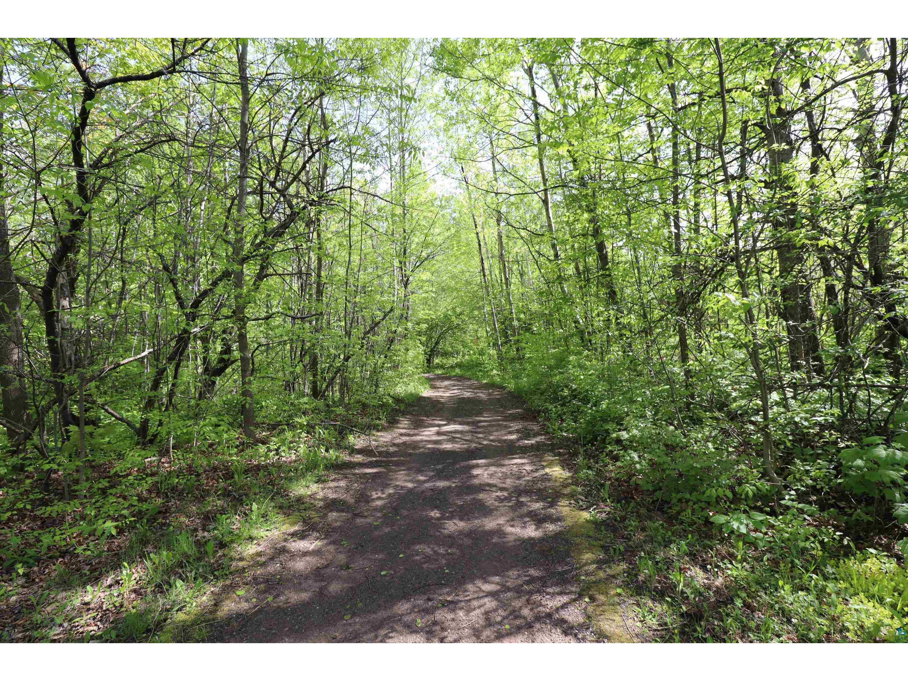 Lots 19 & 38 Eagle Run Bayfield WI 54814 6123697 image25