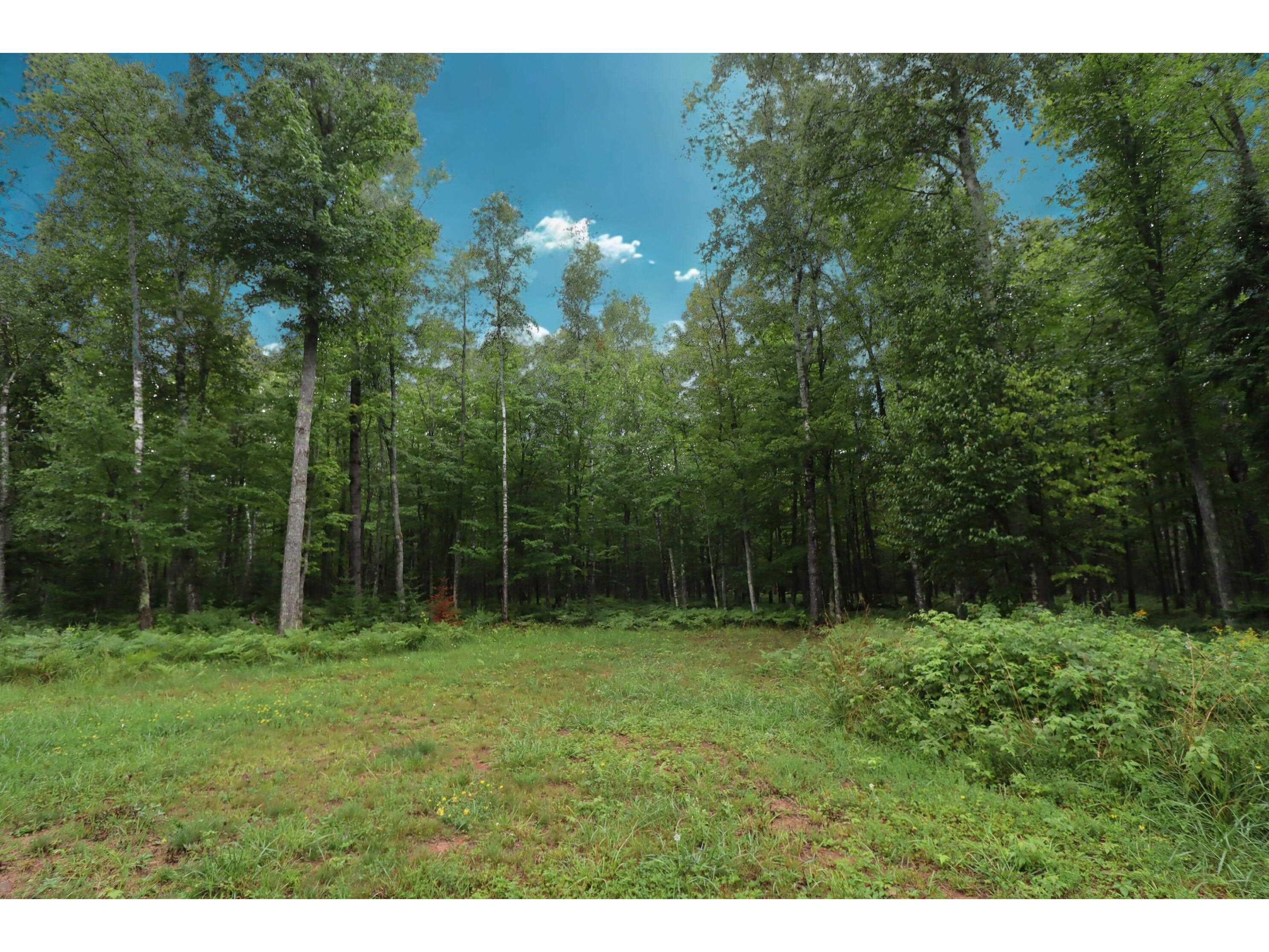 Lots 2-6 Romans Point Rd Cornucopia WI 54827 6121501 image10