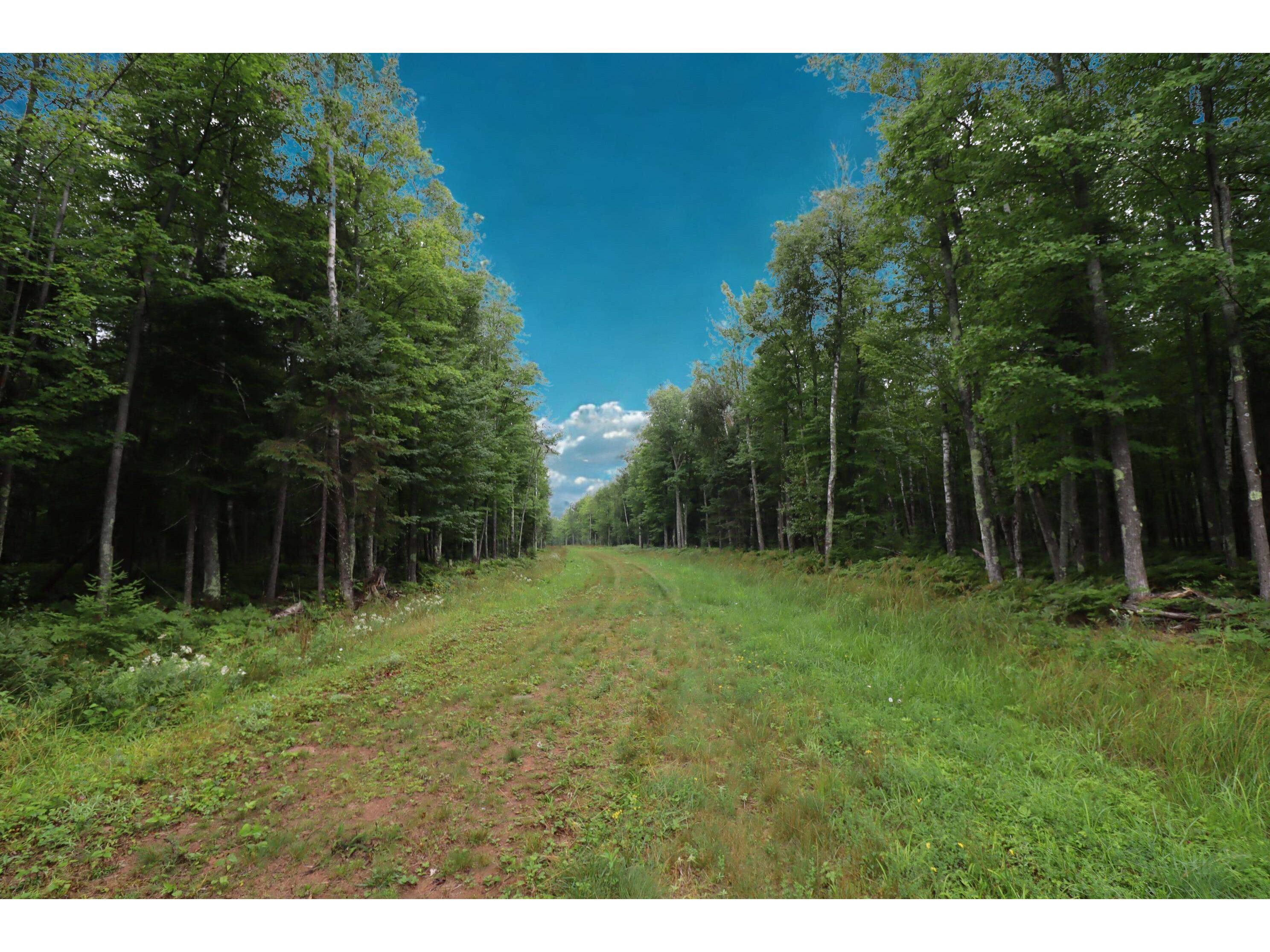 Lots 2-6 Romans Point Rd Cornucopia WI 54827 6121501 image9