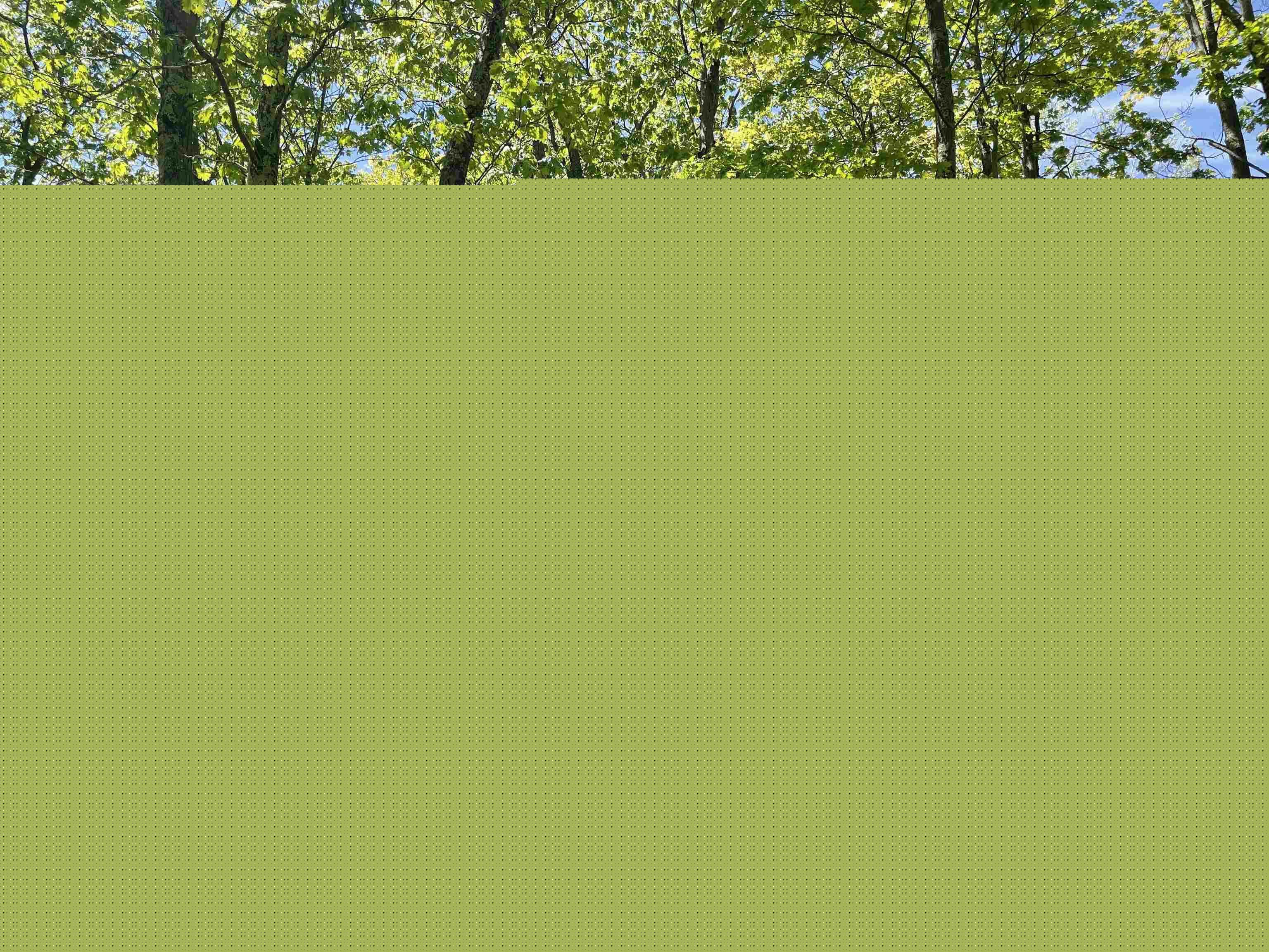 Lots 9 10 Chestnut Dr, Bayfield, WI, 54814 MLS 6114147 Edina Realty