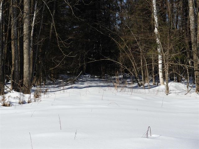 N8357 Down River Rd Phillips WI 54555 - Lower S. Fork Flambeau River 6123531 image1