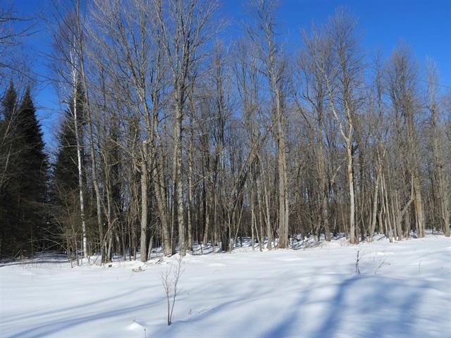 N8357 Down River Rd Phillips WI 54555 - Lower S. Fork Flambeau River 6123531 image4