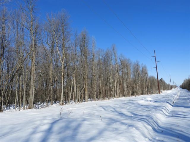 N8357 Down River Rd Phillips WI 54555 - Lower S. Fork Flambeau River 6123531 image5