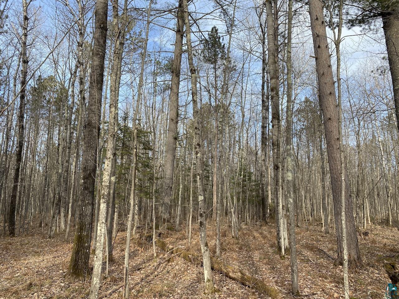 North 15 acres McKinley Rd Washburn WI 54891 6112683 image1