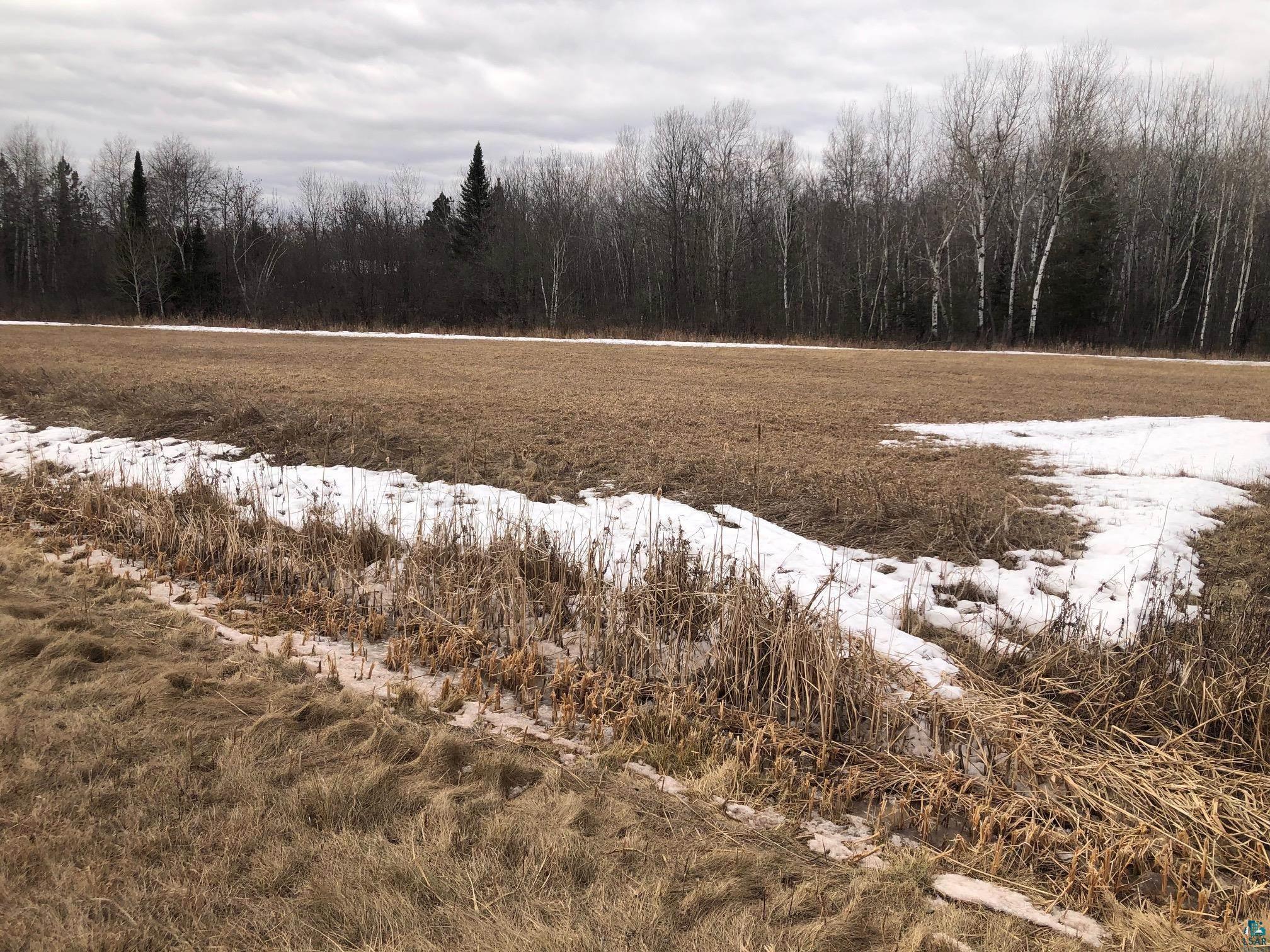 PARCEL 1 County Rd D Poplar WI 54864 6117990 image1