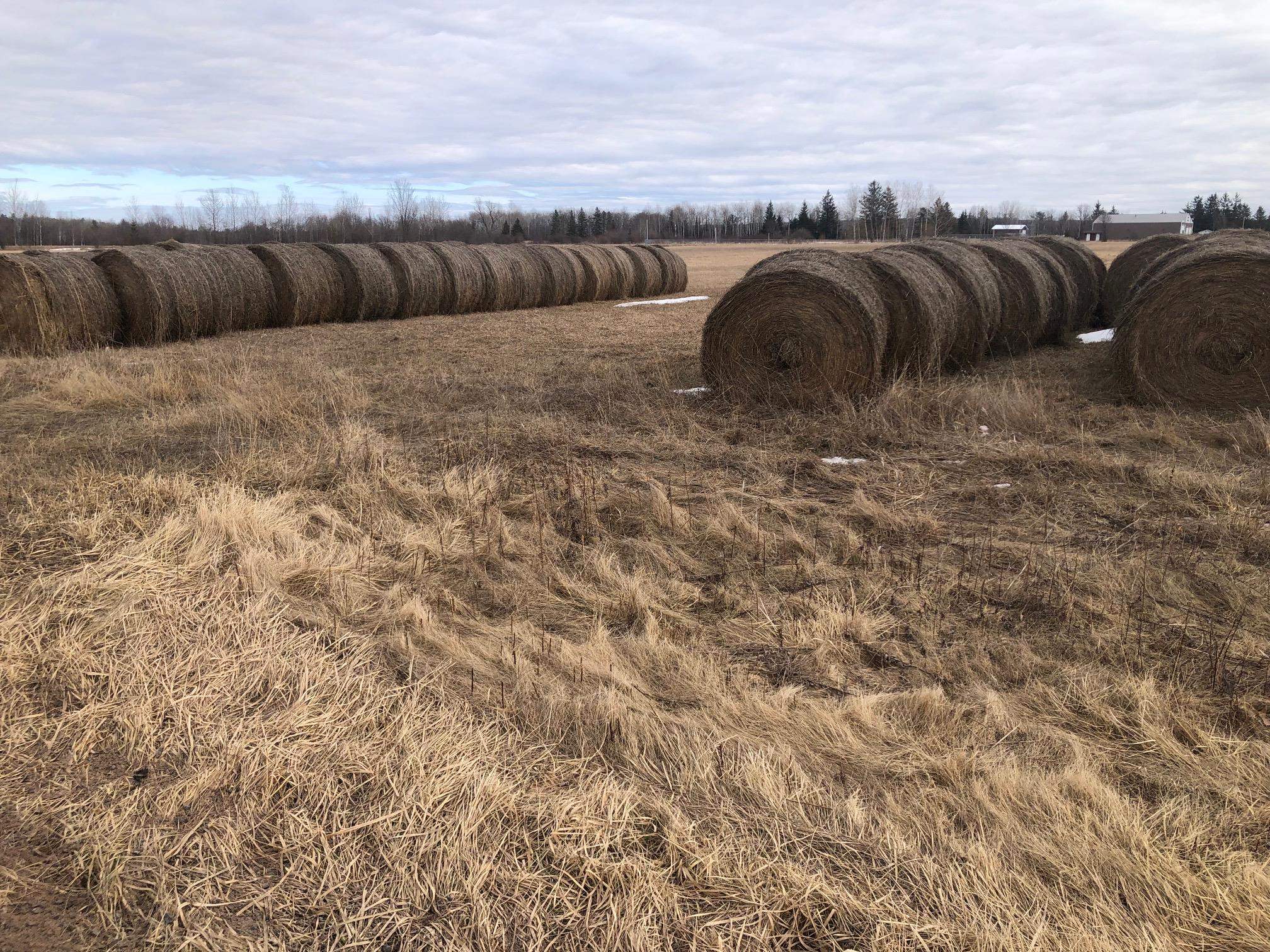 PARCEL 2 County Rd D Poplar WI 54864 6117991 image1