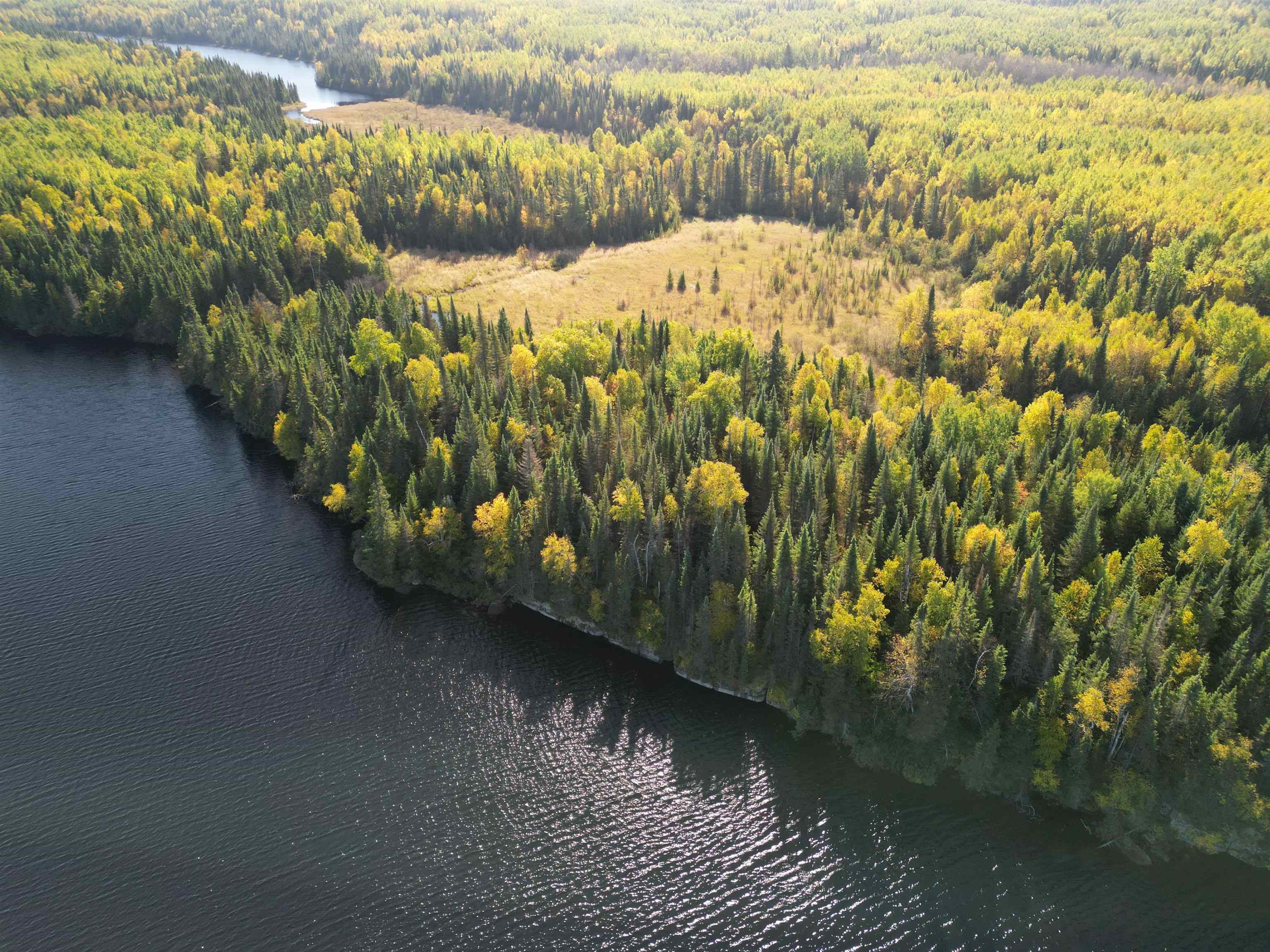 Parcel 3 Old Gunflint Trail Grand Marais MN 55604 - Portage 6122318 image1