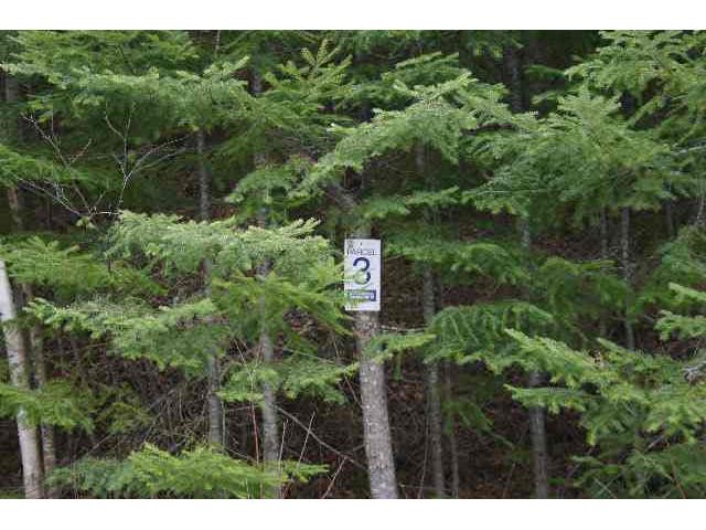 Parcel 3 SOUTH SHORE DR Grand Marais MN 55604 2312751 image2