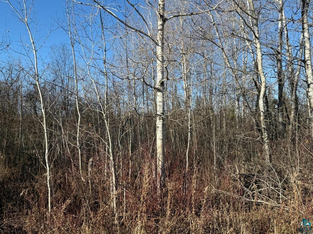 Parcel A Parameter Rd Deer River MN 56636 6124067 image10