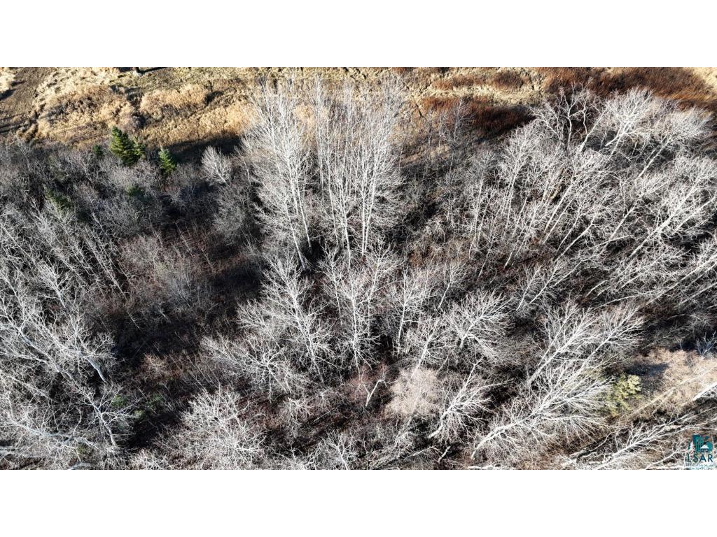 Parcel A Parameter Rd Deer River MN 56636 6124067 image11