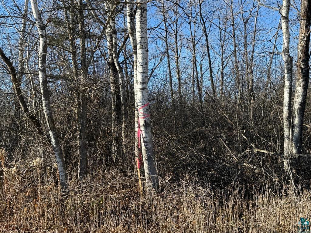 Parcel A Parameter Rd Deer River MN 56636 6124067 image8