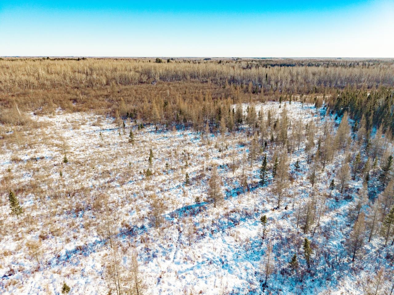 84XX Peary Junction Rd Cotton MN 55724 6123627 image9