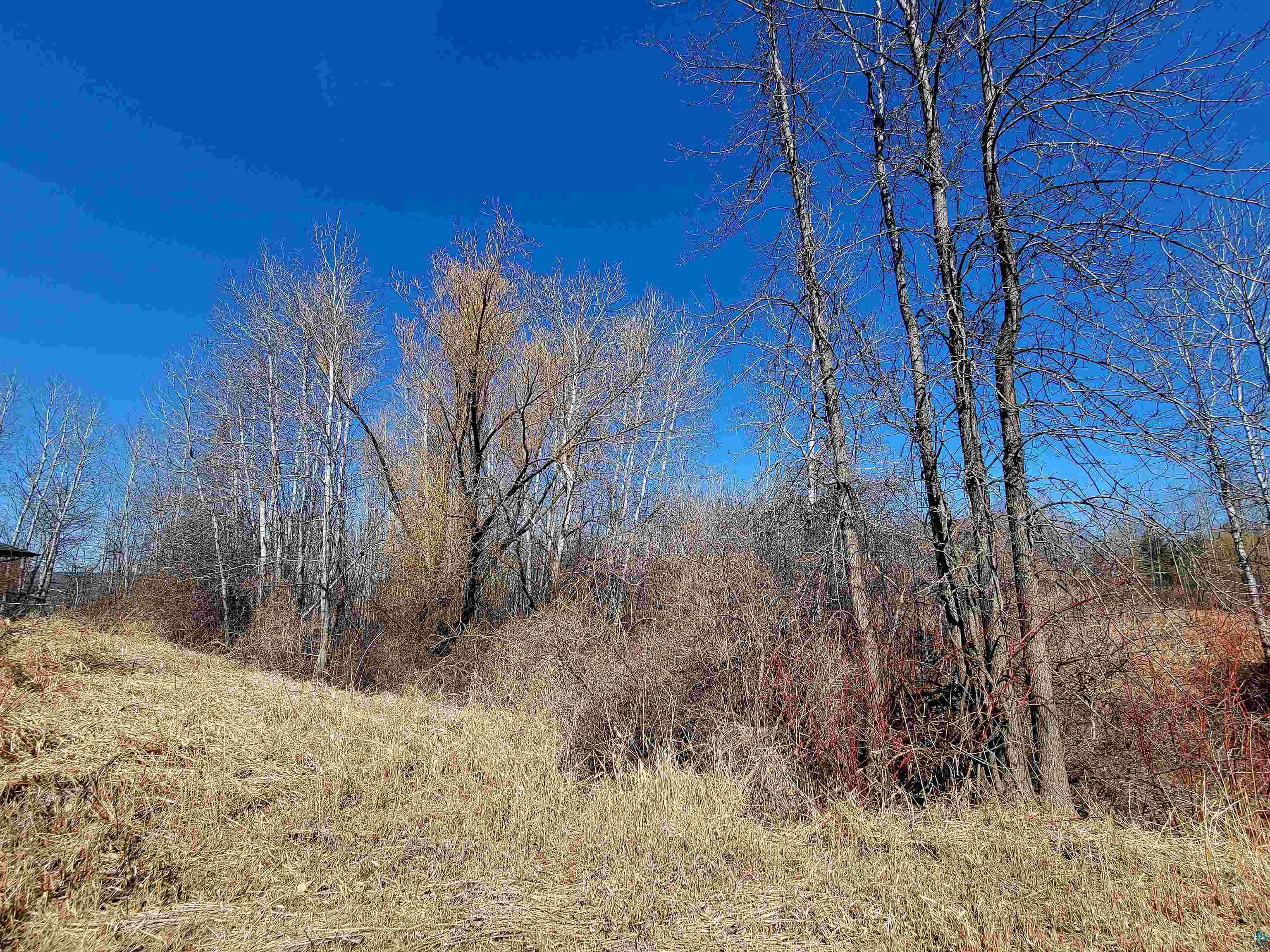 Prentice Heights Rd Ashland WI 54806 6118761 image8