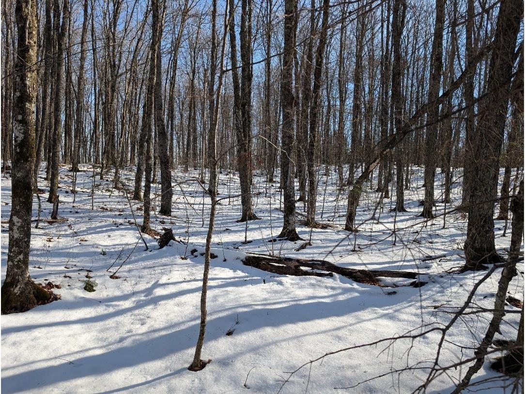 Red House Rd Mellen WI 54546 - Ballon 6122944 image1