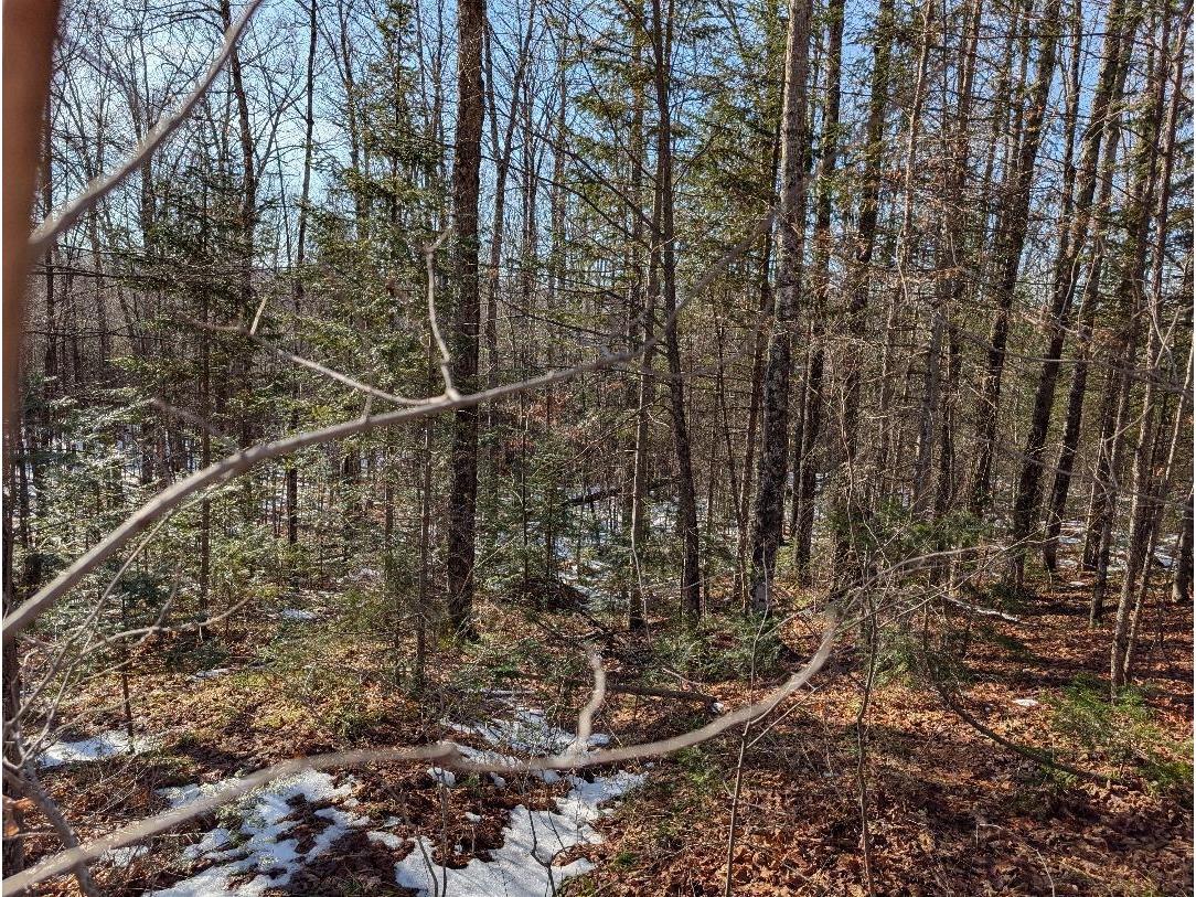 Red House Rd Mellen WI 54546 - Ballon 6122944 image10