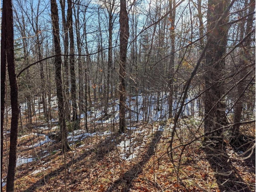 Red House Rd Mellen WI 54546 - Ballon 6122944 image11