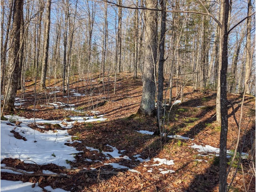 Red House Rd Mellen WI 54546 - Ballon 6122944 image13