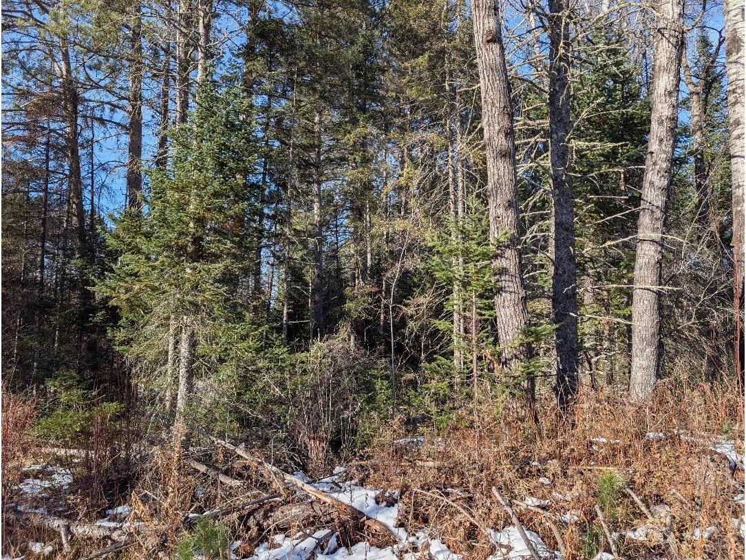 Red House Rd Mellen WI 54546 - Ballon 6122944 image14