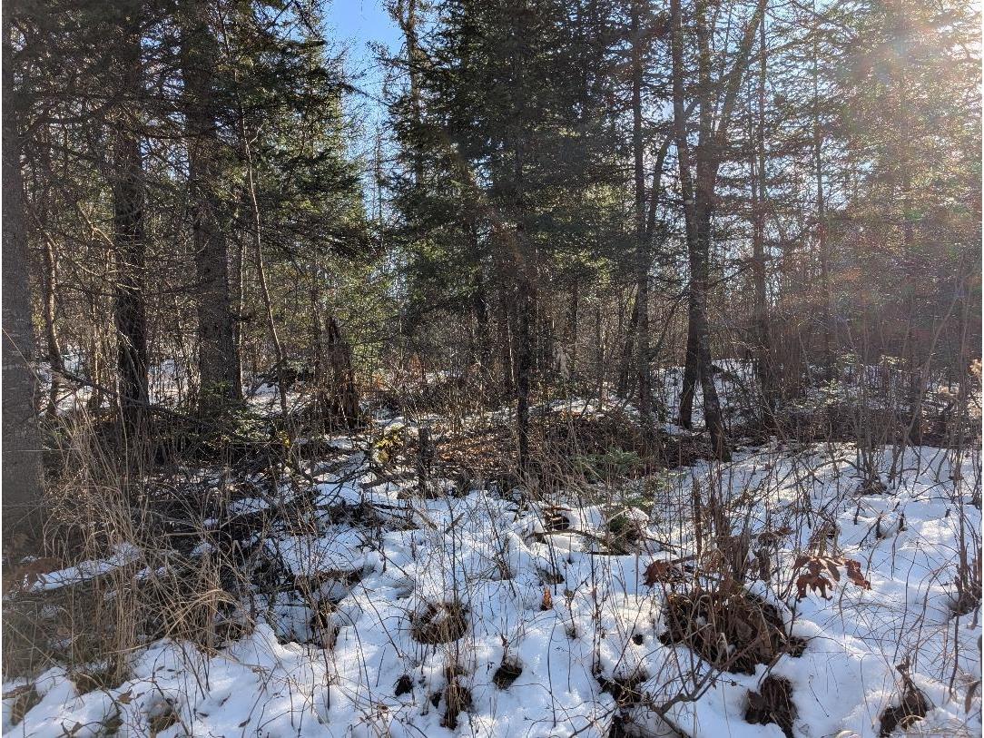 Red House Rd Mellen WI 54546 - Ballon 6122944 image15