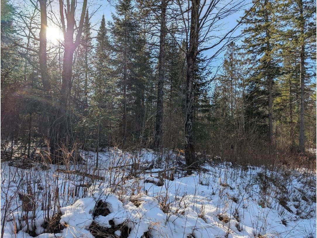 Red House Rd Mellen WI 54546 - Ballon 6122944 image16