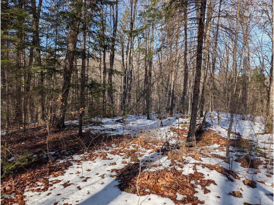 Red House Rd Mellen WI 54546 - Ballon 6122944 image2