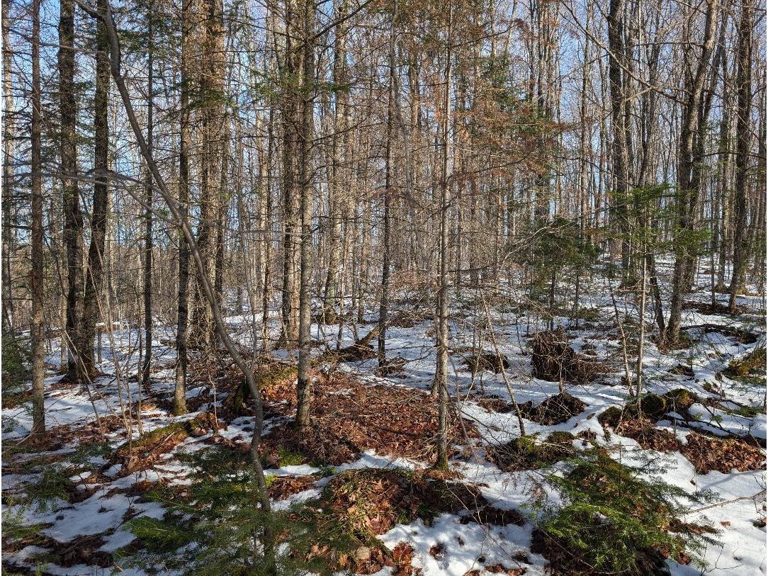 Red House Rd Mellen WI 54546 - Ballon 6122944 image3