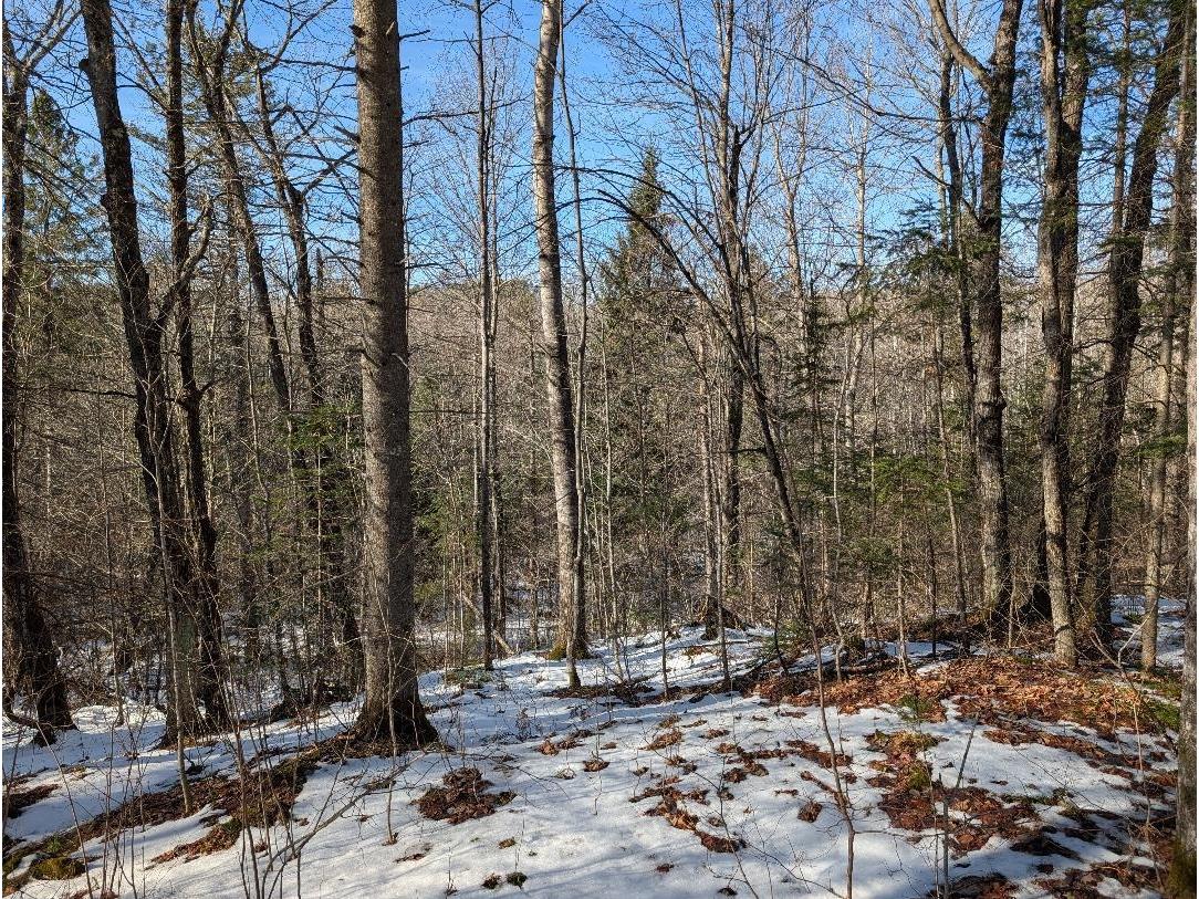 Red House Rd Mellen WI 54546 - Ballon 6122944 image4