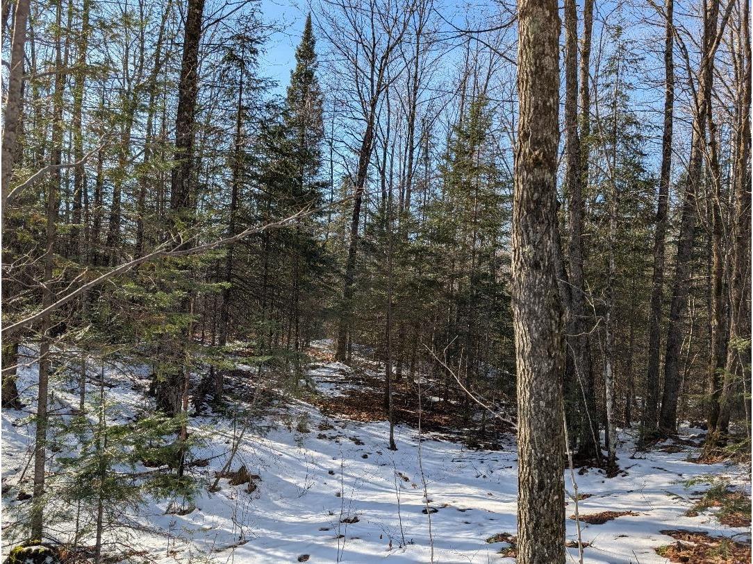 Red House Rd Mellen WI 54546 - Ballon 6122944 image7