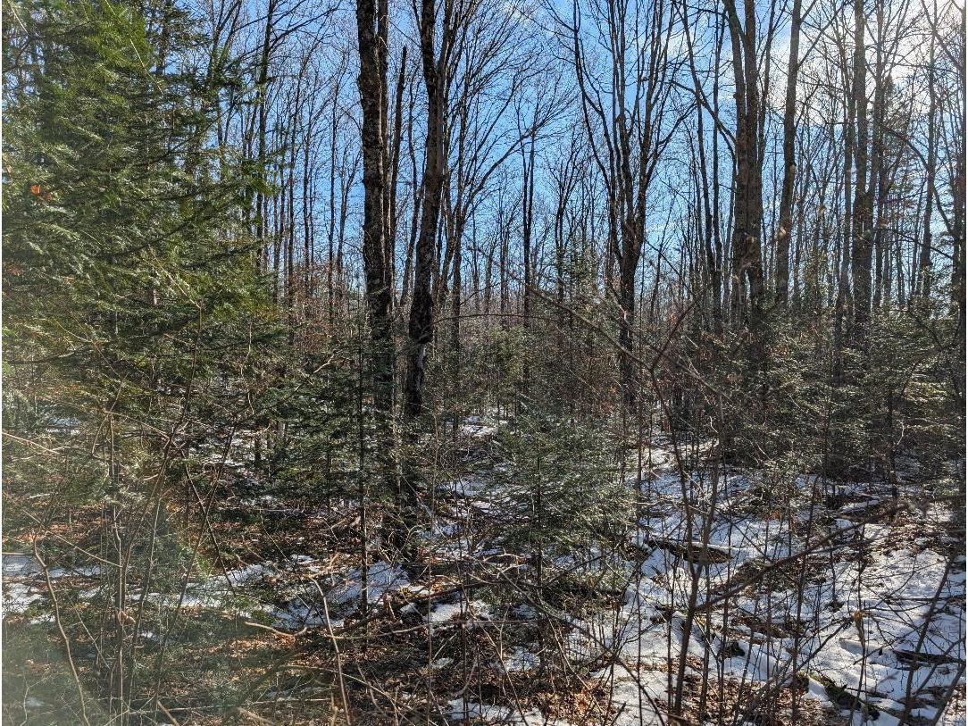 Red House Rd Mellen WI 54546 - Ballon 6122944 image8