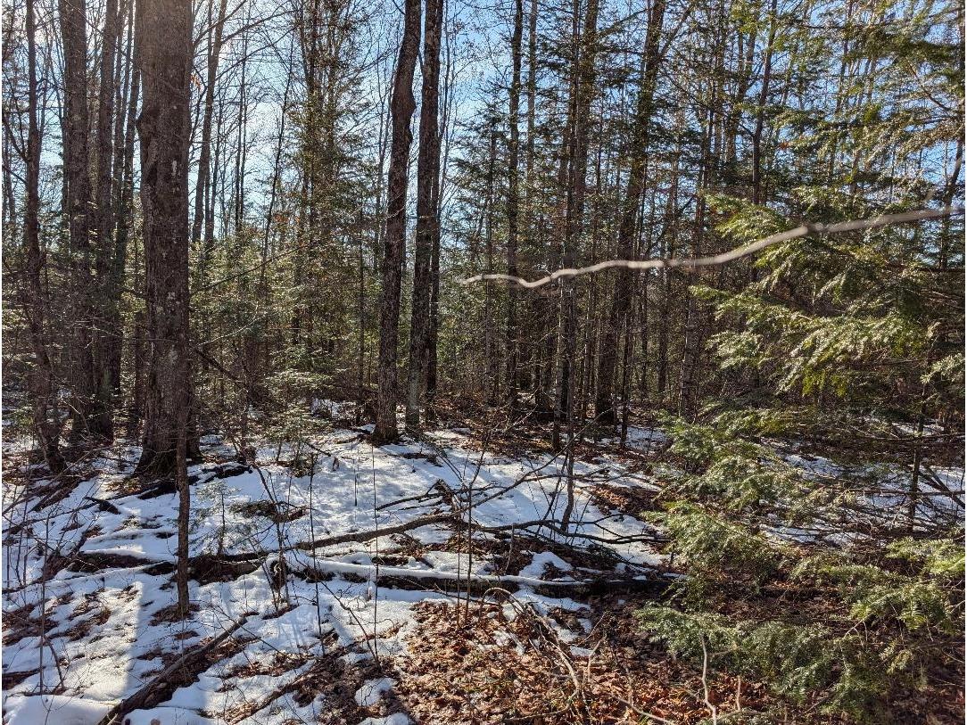 Red House Rd Mellen WI 54546 - Ballon 6122944 image9