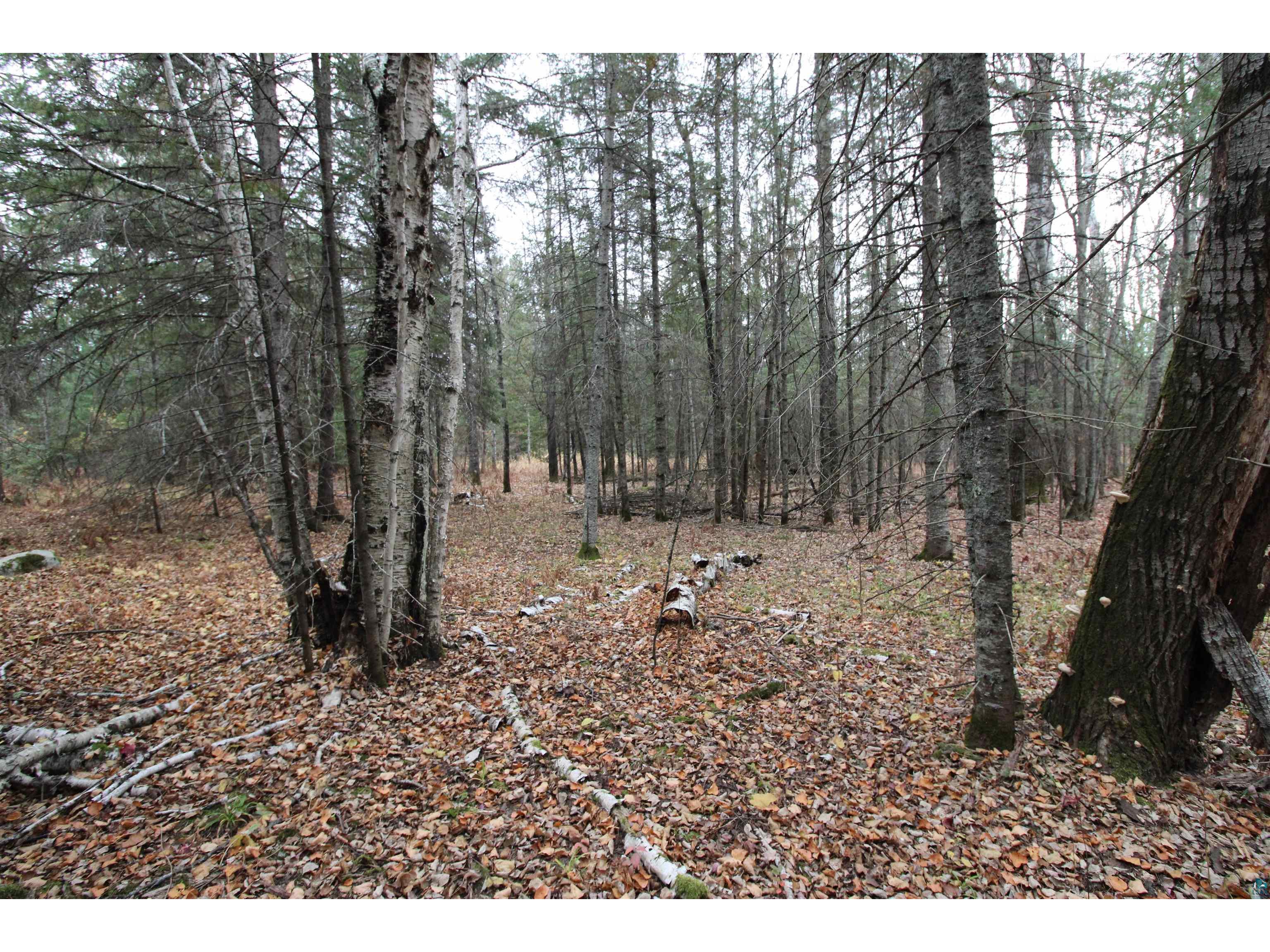 S Moon Lake Dr Eveleth MN 55734 6116885 image1