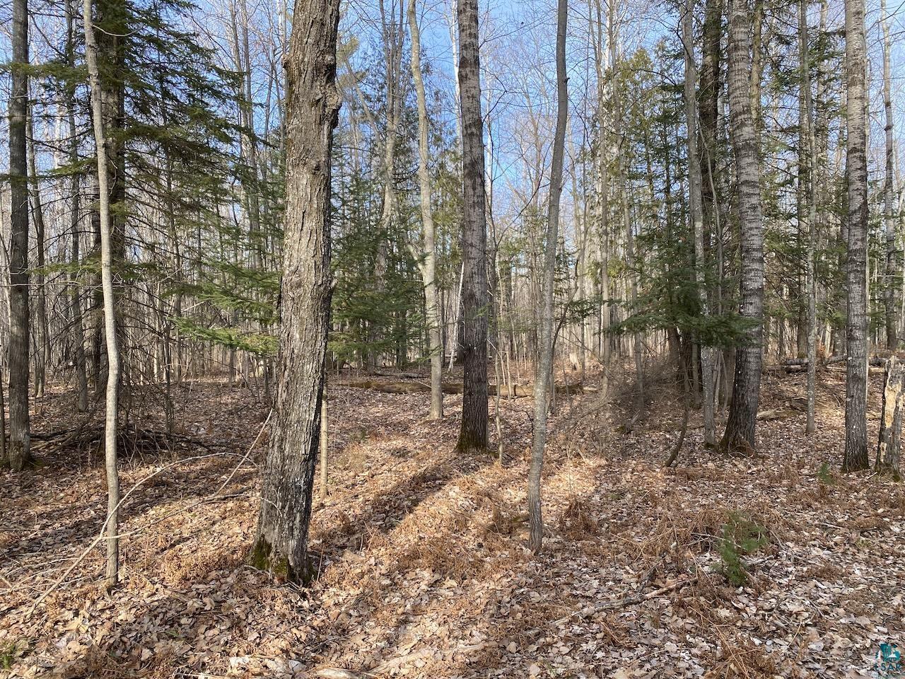 South 15 acres McKinley Rd Washburn WI 54891 6112675 image1