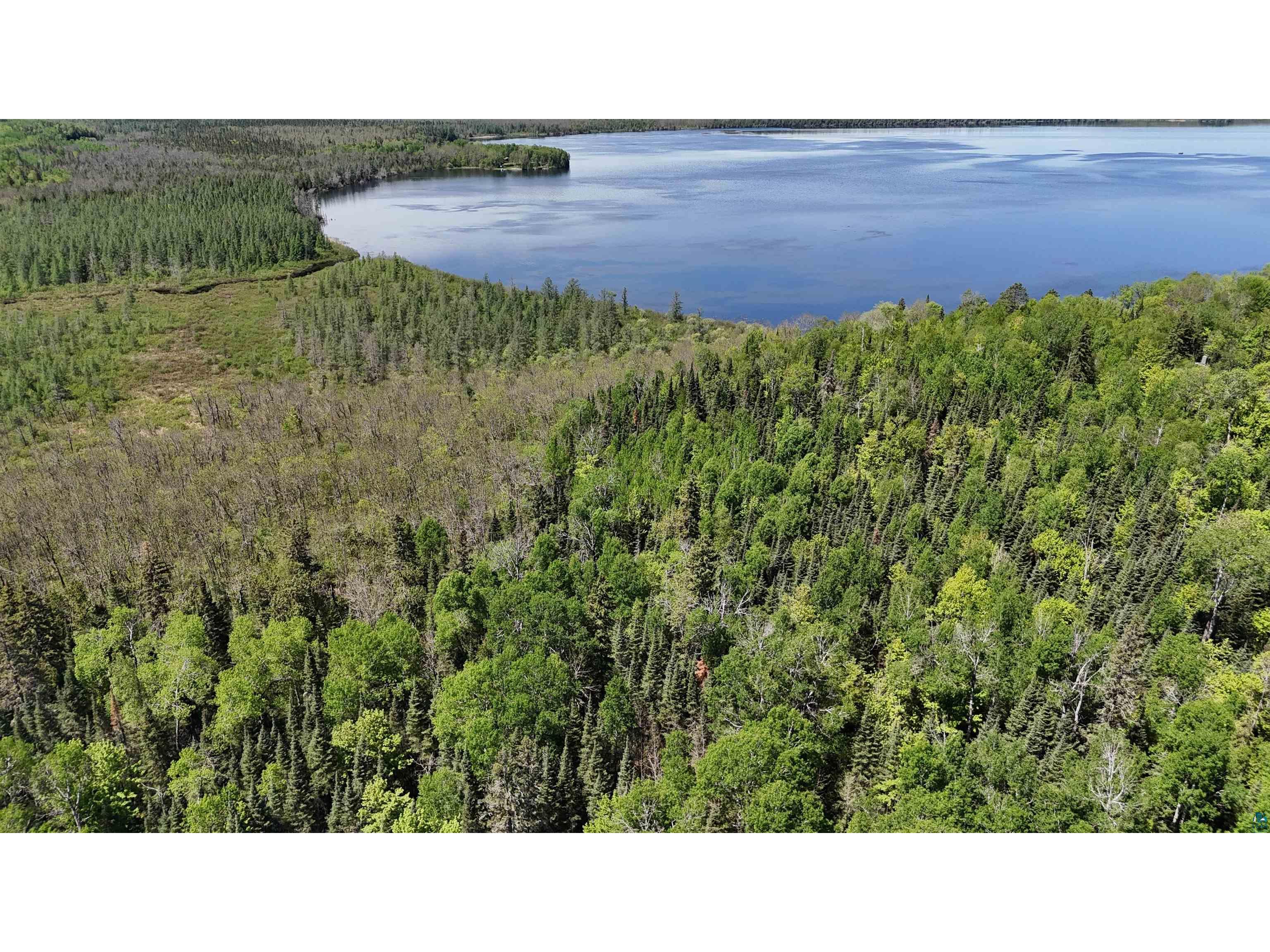 TBD 21 Nett Lake Rd Orr MN 55771 - Pelican 6124240 image11